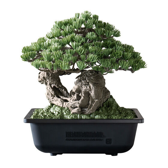 盆栽がプラモデルに！？「SRL X BANDAI SPIRITS . BONSAI MODEL KIT