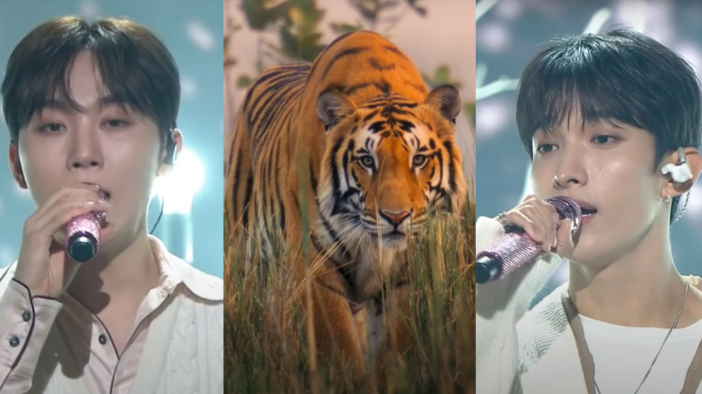 Seventeen teams up with BBC Earth to showcase natural wonders in