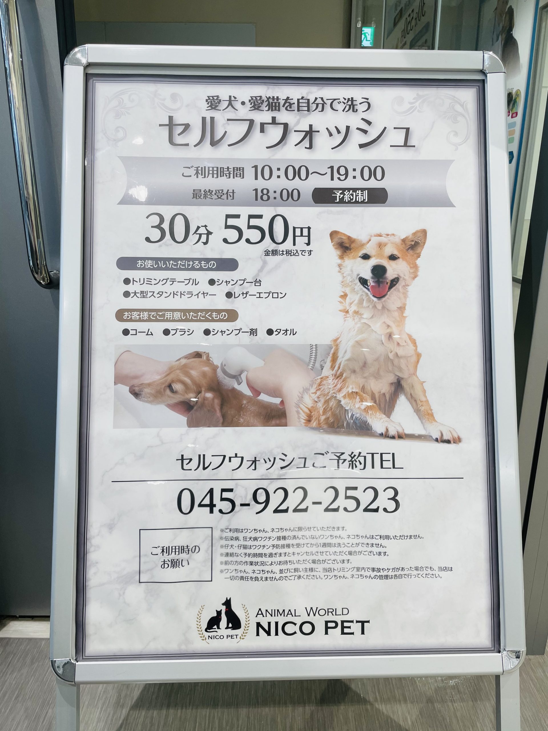 セルフウォッシュのご紹介🛁 | NICO PET（ニコペット）