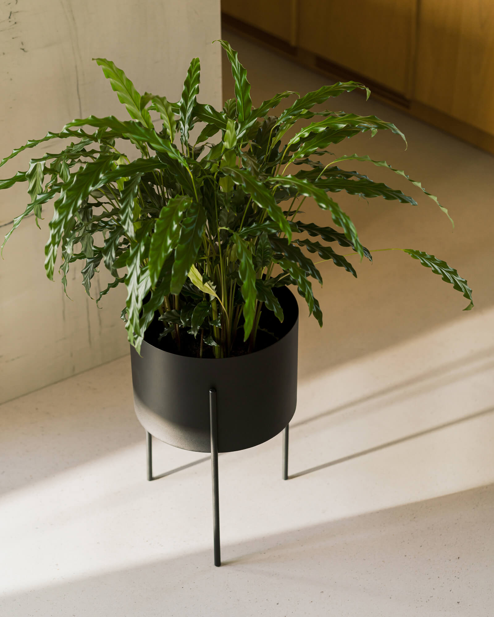 Maki Plant Pot Wide - indoor & outdoor, white pot, 30 cm - noo.ma
