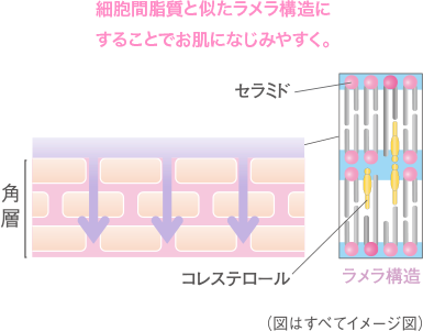乾燥肌・敏感肌・低刺激性スキンケアのモイスチュアクリーム(保湿