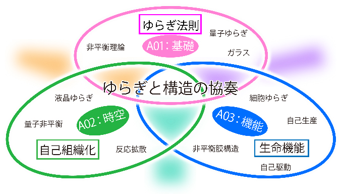 ゆらぎと構造の協奏
