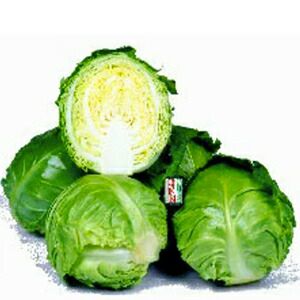 000000020608-01.jpg?size=l&w=