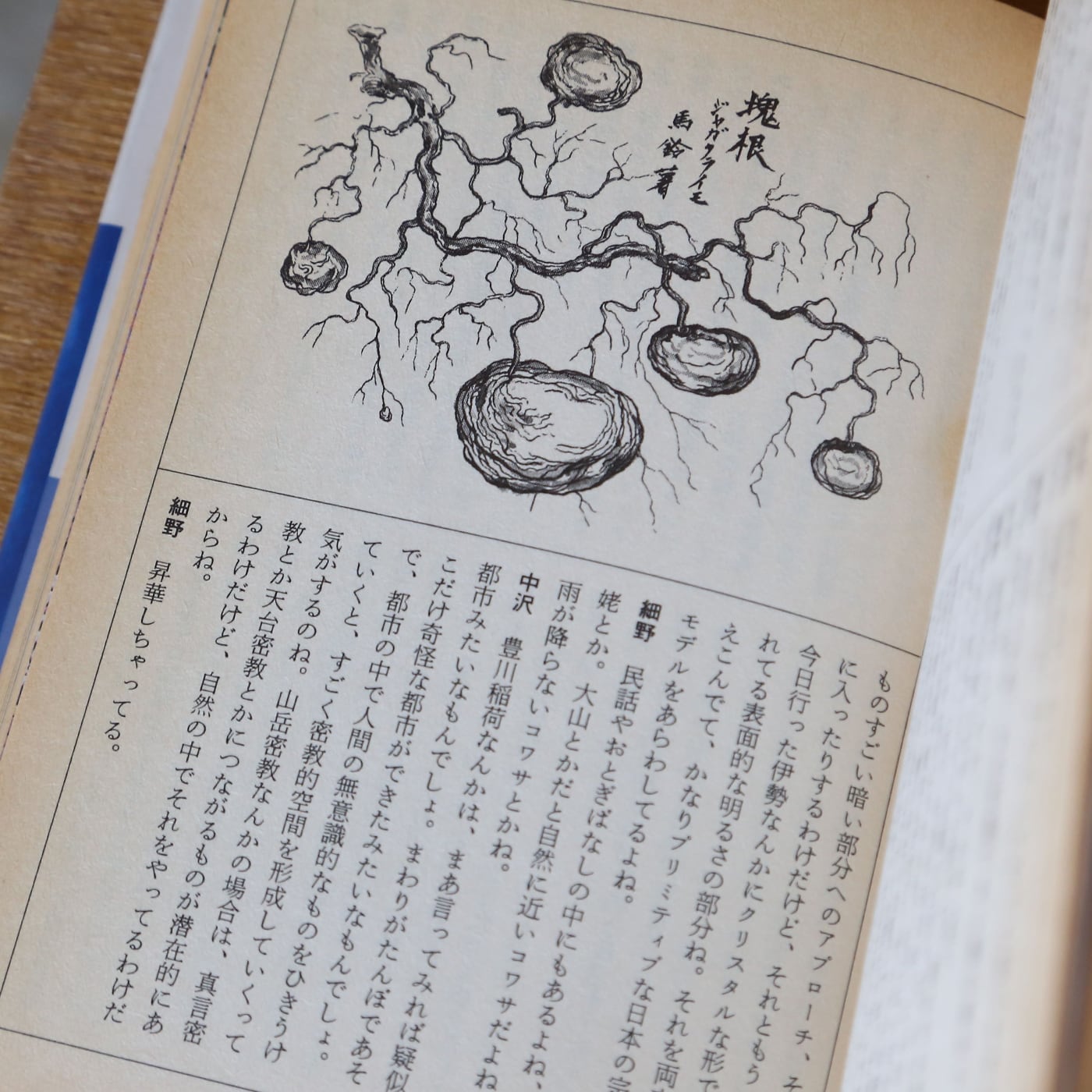 日本霊地巡礼。細野晴臣と中沢新一のめくるめく観光旅行。 | nostos