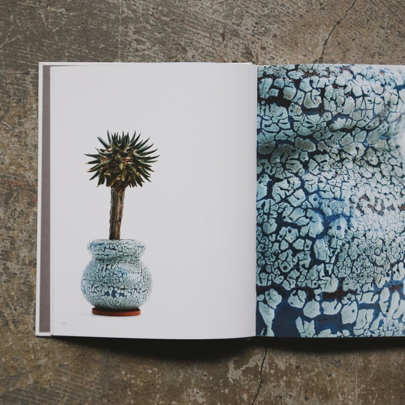 陶芸家 アダム・シルヴァーマン フラワーベース 陶芸家アダム