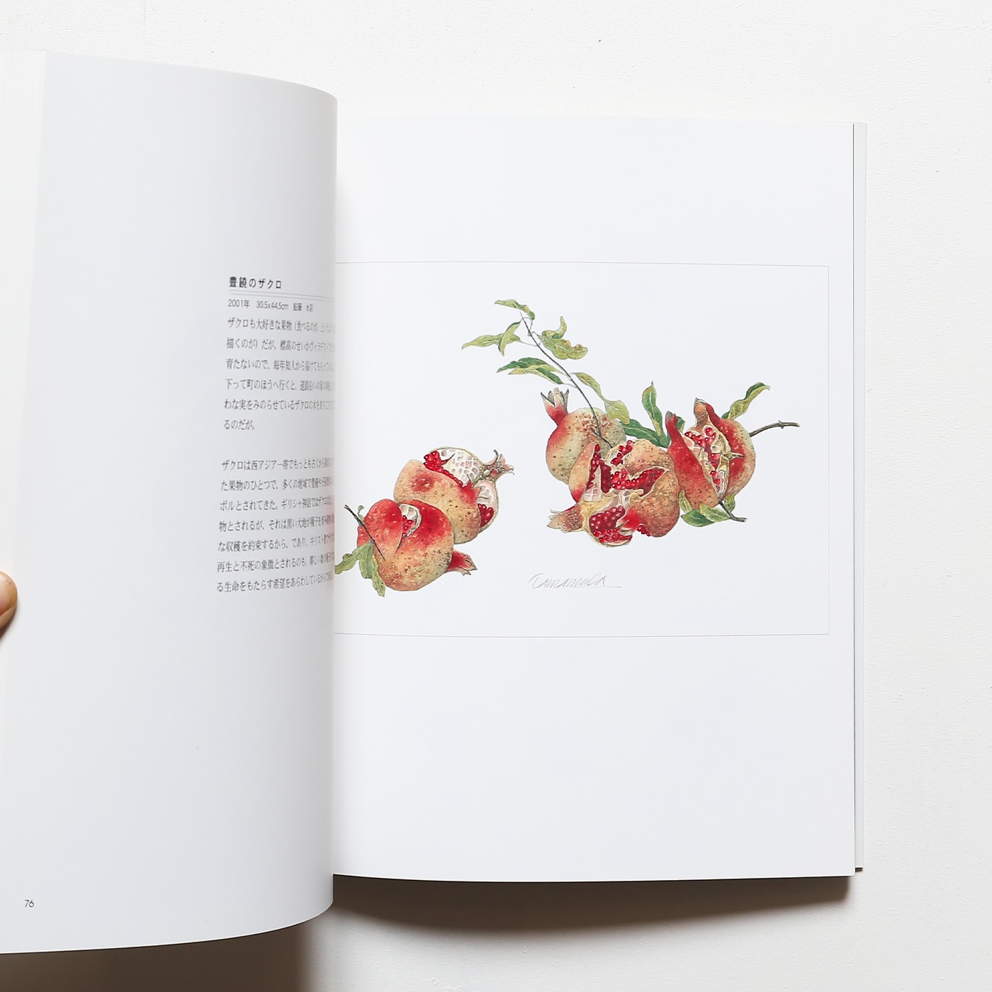 Tamamura Toyoo Harvest 玉村豊男収穫画集 | nostos books ノストス