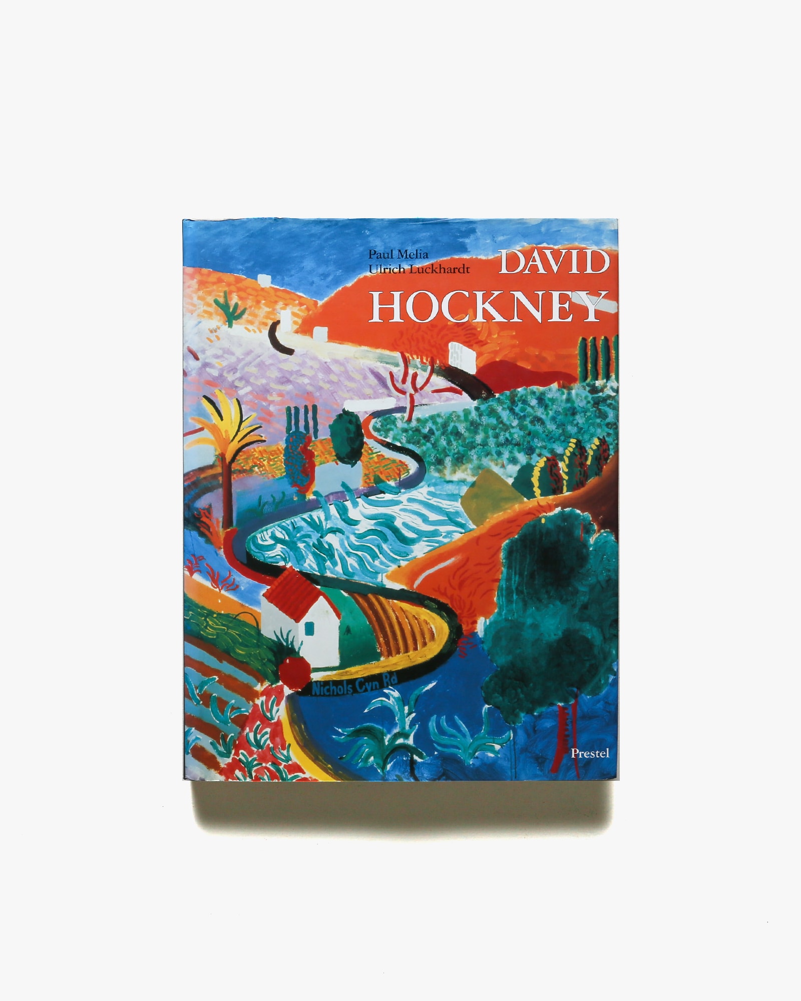 David Hockney: Paintings | デイヴィッド・ホックニー画集 | nostos