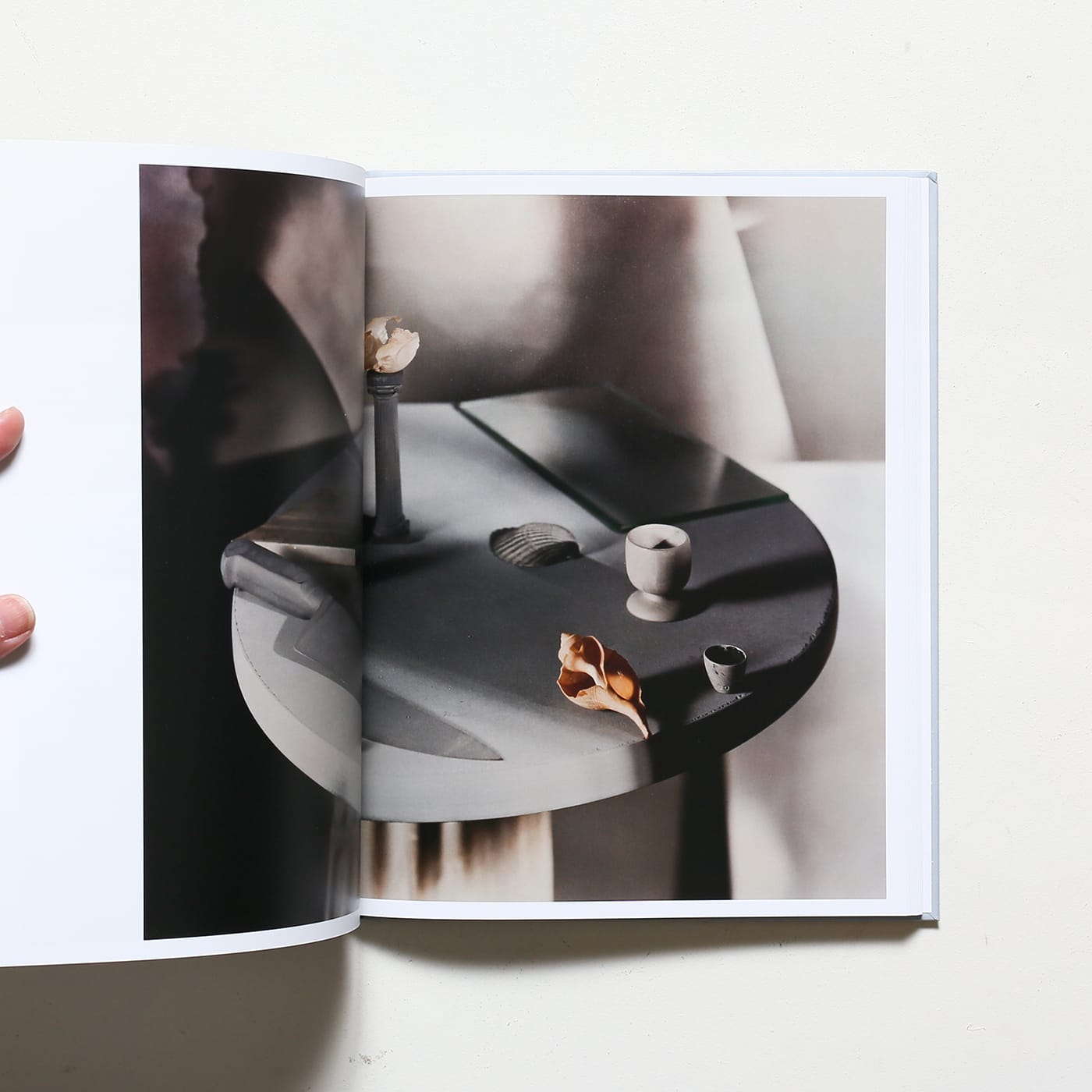 Jan Groover, Photographer: Laboratory of Forms | ヤン・グルーバー