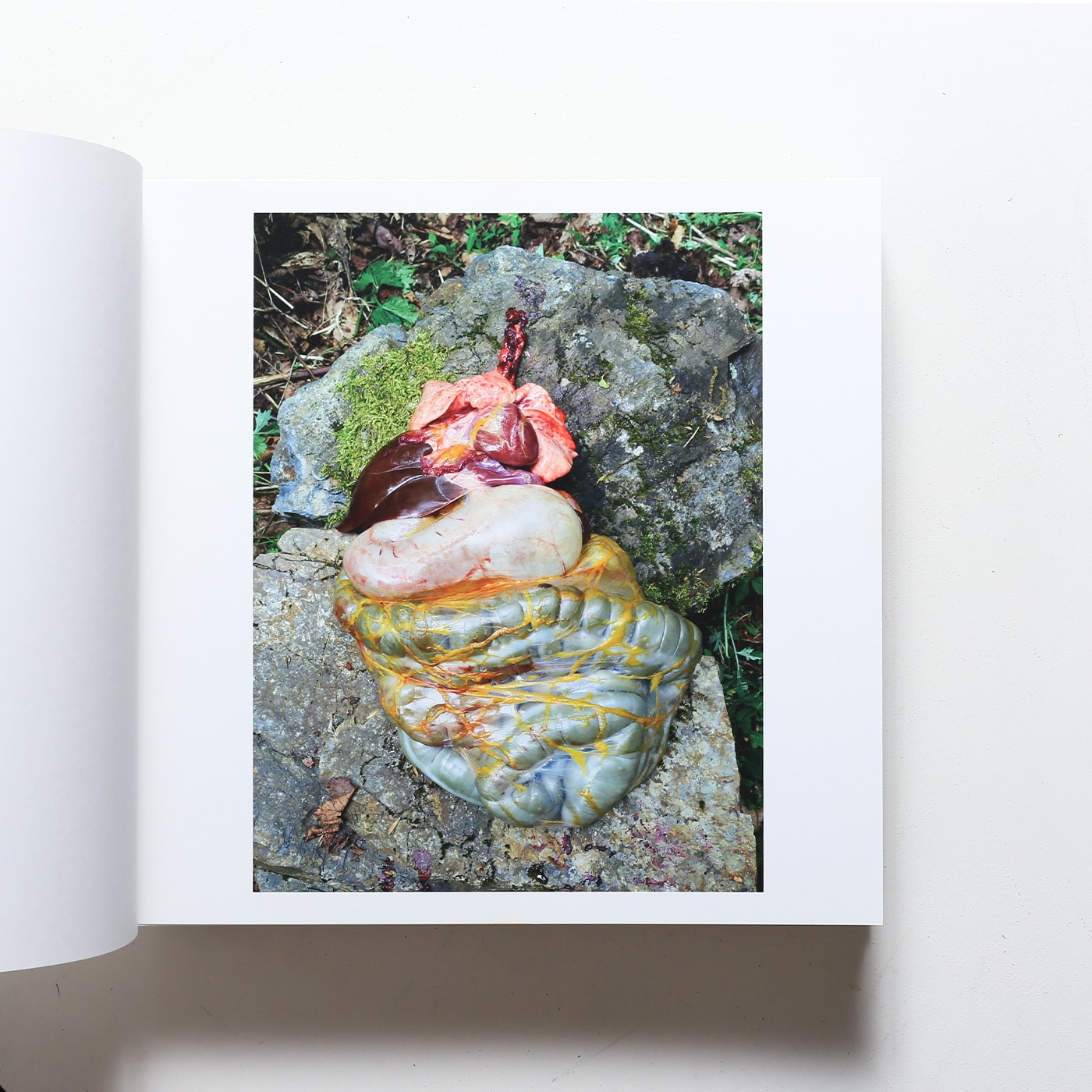 いのちのうちがわ | 石川竜一 | nostos books ノストスブックス