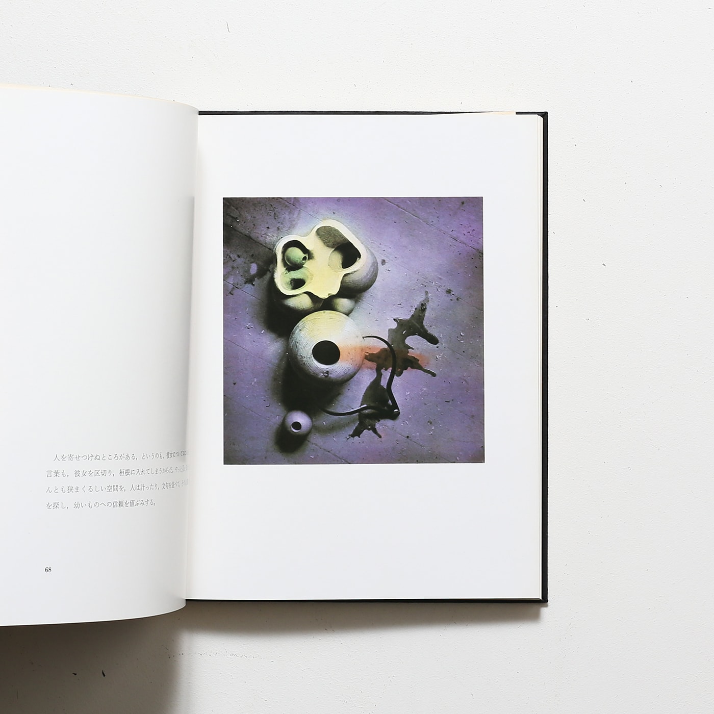 ハンスベルメール イマージュの解剖学➕四谷シモンとエコールドシモン