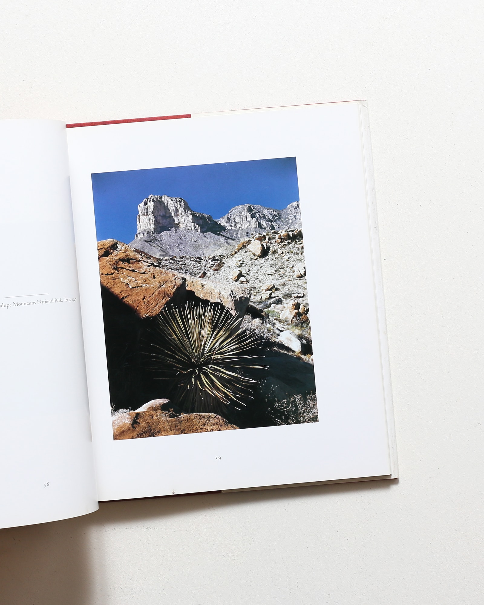 Ansel Adams in Color | アンセル・アダムス写真集 | nostos books