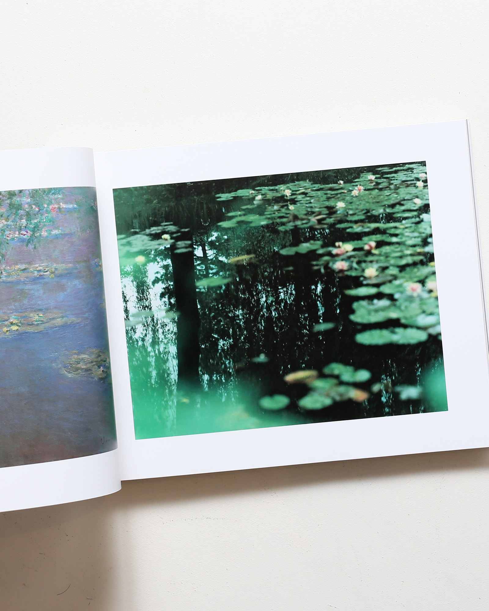 写真と絵画 セザンヌより 柴田敏雄と鈴木理策 | nostos books ノストス
