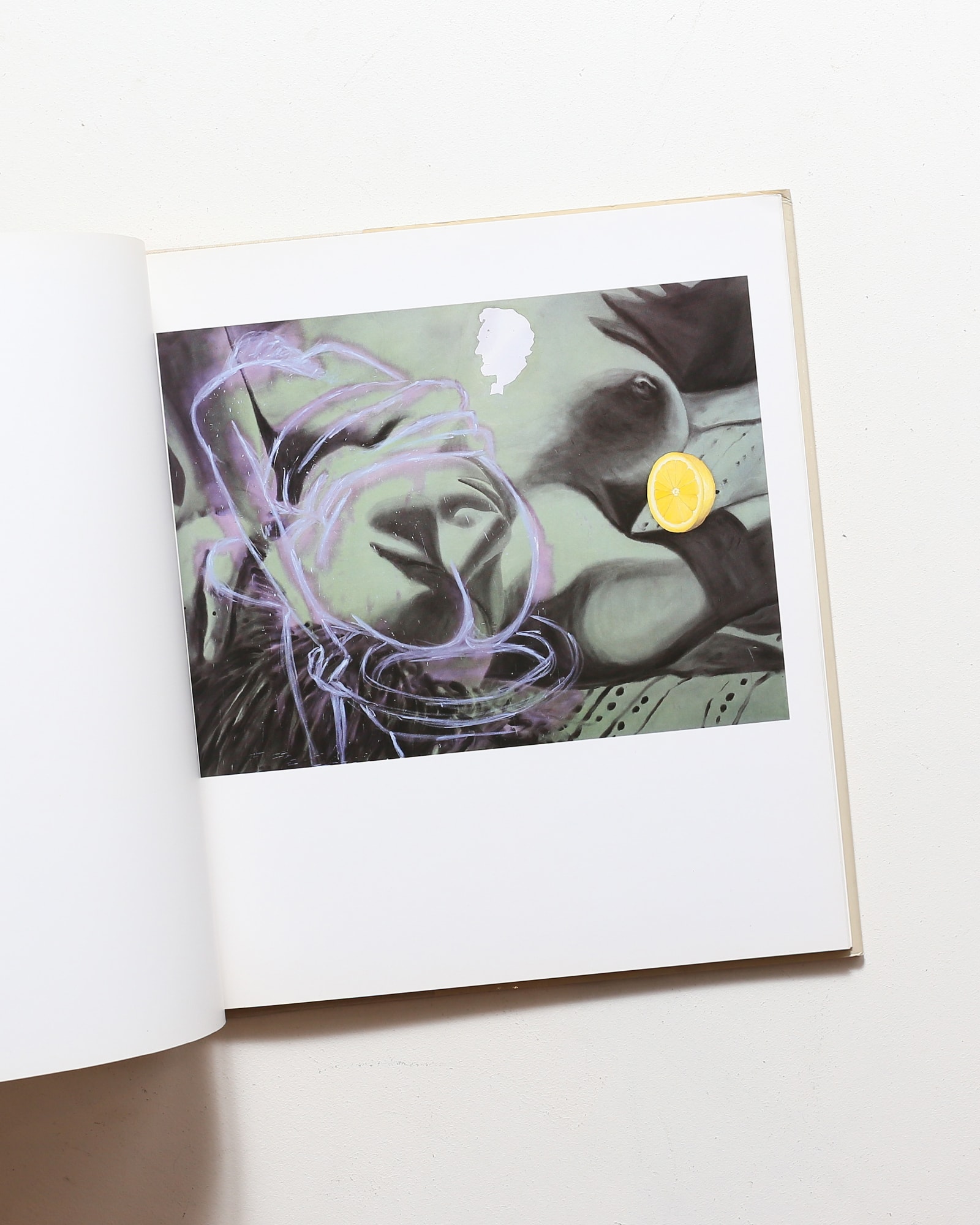 David Salle | デヴィッド・サーレ | nostos books ノストスブックス