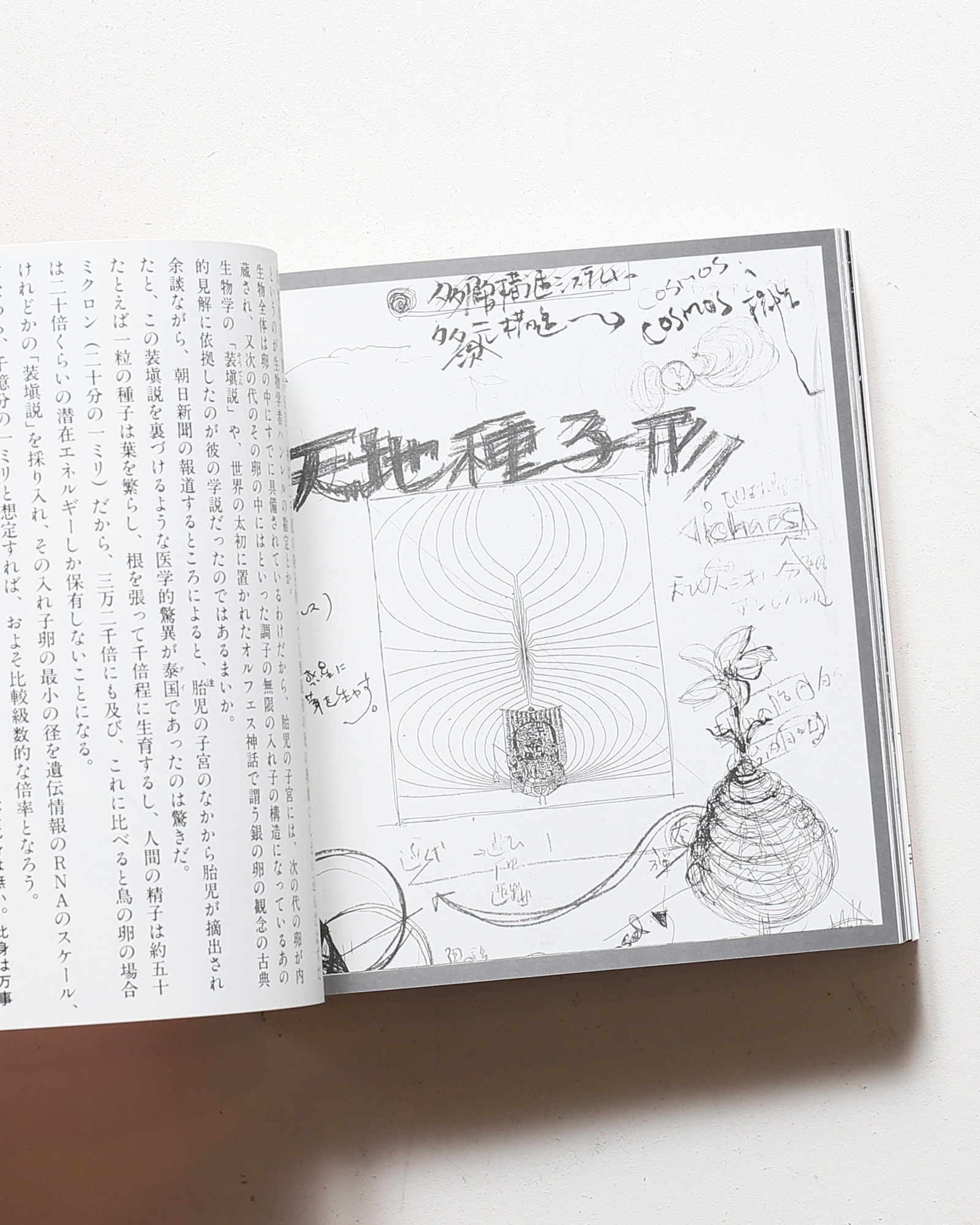 神聖空間縁起 | 毛綱毅昿、横尾忠則、藤塚光政 | nostos books ノスト