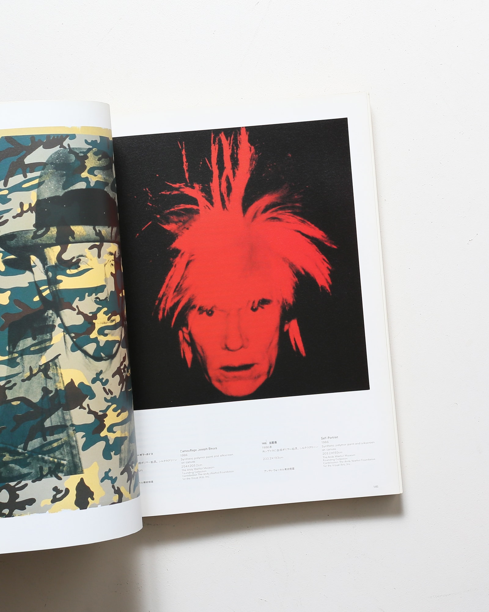 アンディ・ウォーホル 1956-86 時代の鏡 | nostos books ノストスブックス
