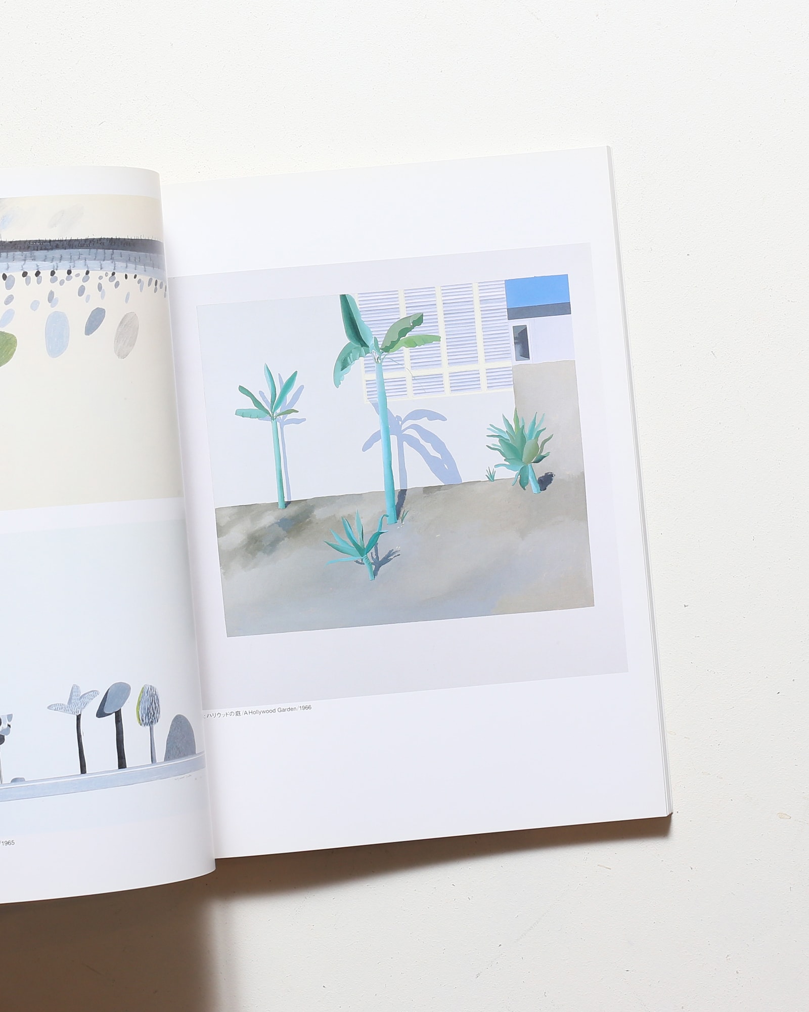 Hockney in California デイヴィッド・ホックニー展 | nostos books