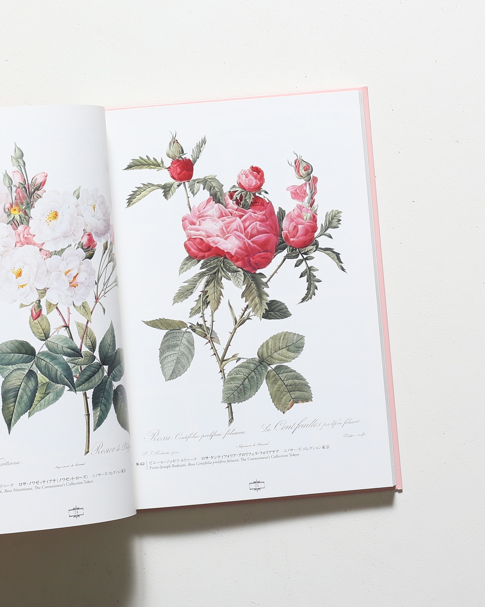 花の画家 ルドゥーテ「美花選」展 | Bunkamura | nostos books ノスト