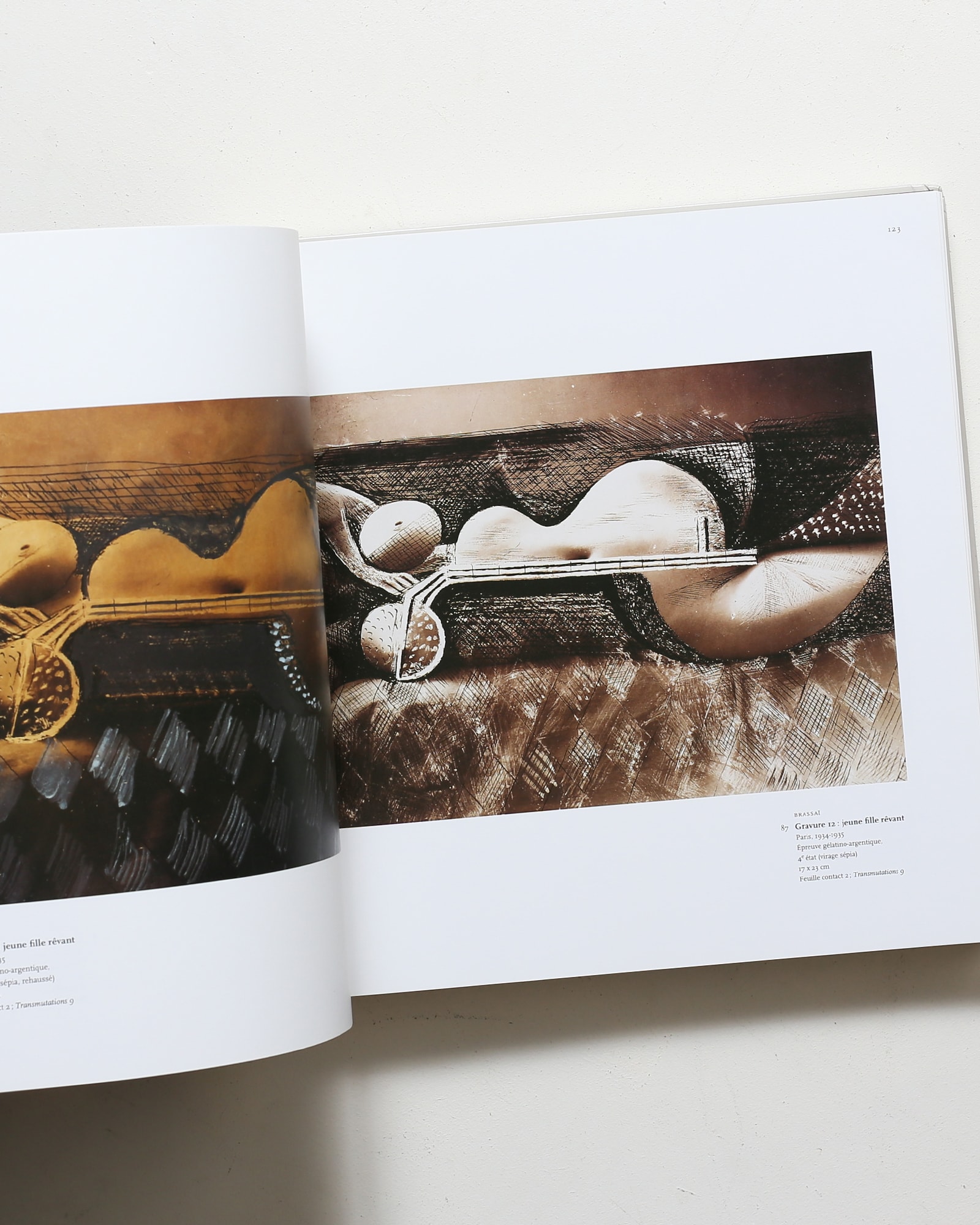 Brassai／Picasso: Conversations Avec la Lumiere | パブロ・ピカソ