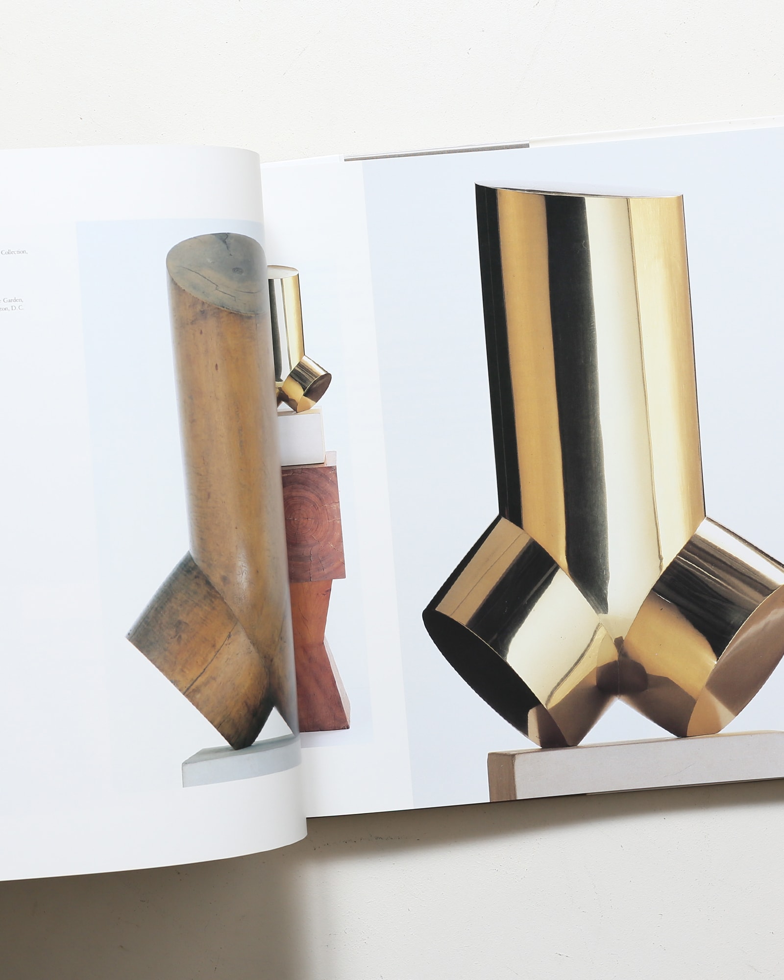 ブランクーシ作品集 | ラドゥ・ヴァリア | nostos books ノストスブックス