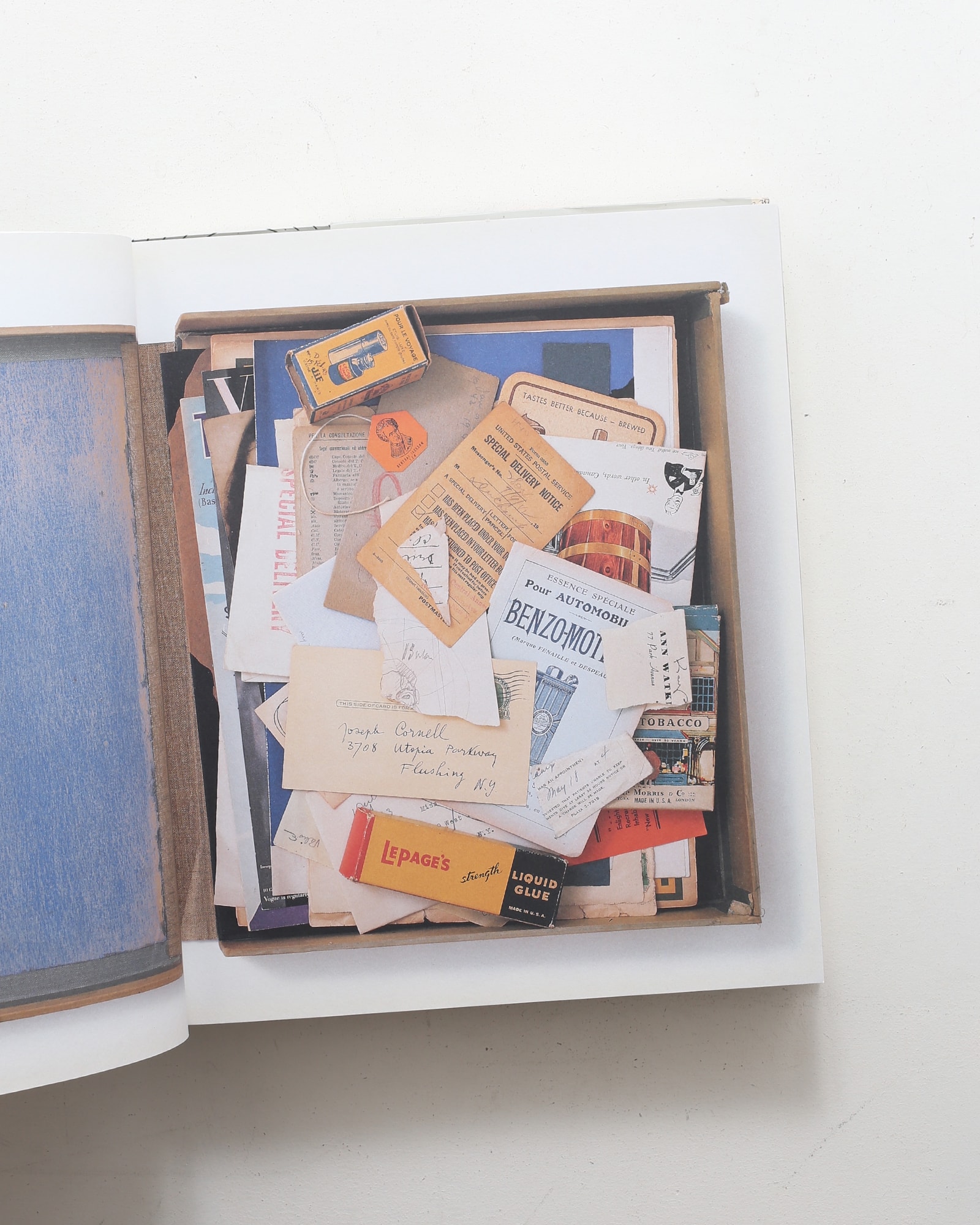 Joseph Cornell / Marcel Duchamp: In Resonance | ジョセフ・コーネル