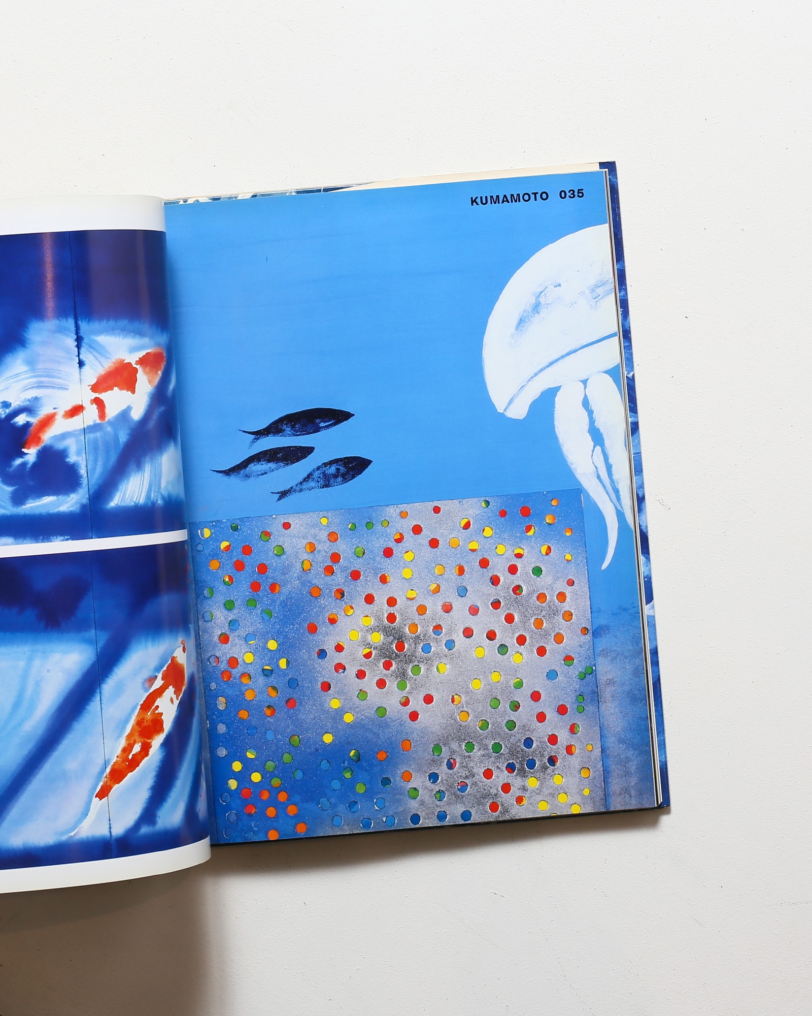 大竹伸朗日本景 Zyapanorama | nostos books ノストスブックス