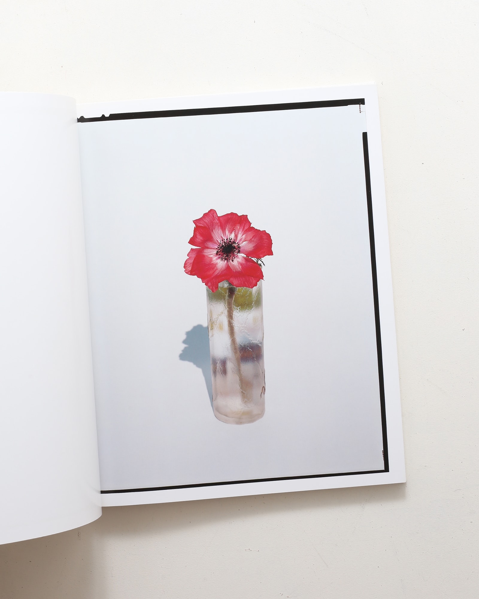 Flowers | 上田義彦 | nostos books ノストスブックス