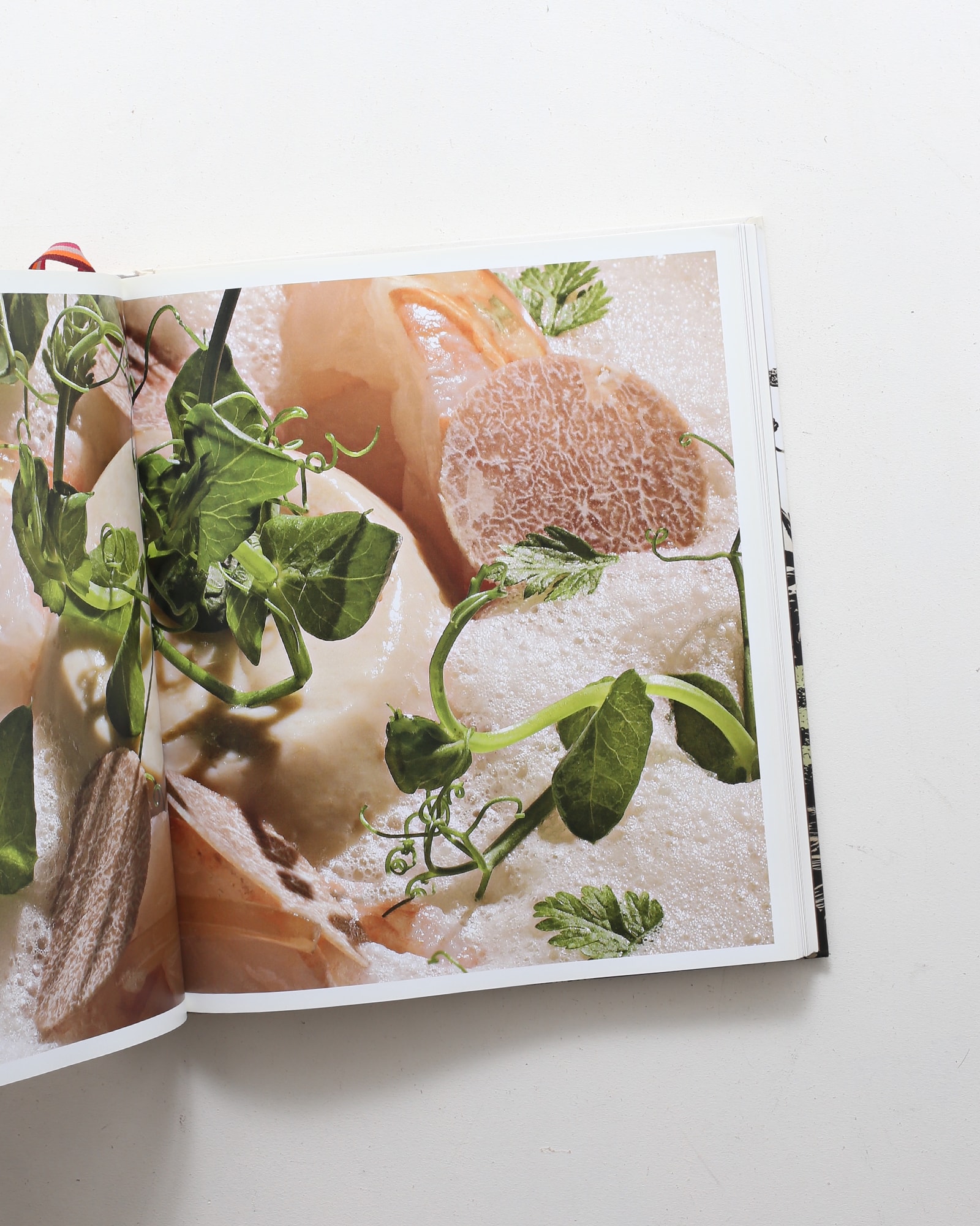 The Fat Duck Cookbook | Heston Blumenthal | nostos books ノストス