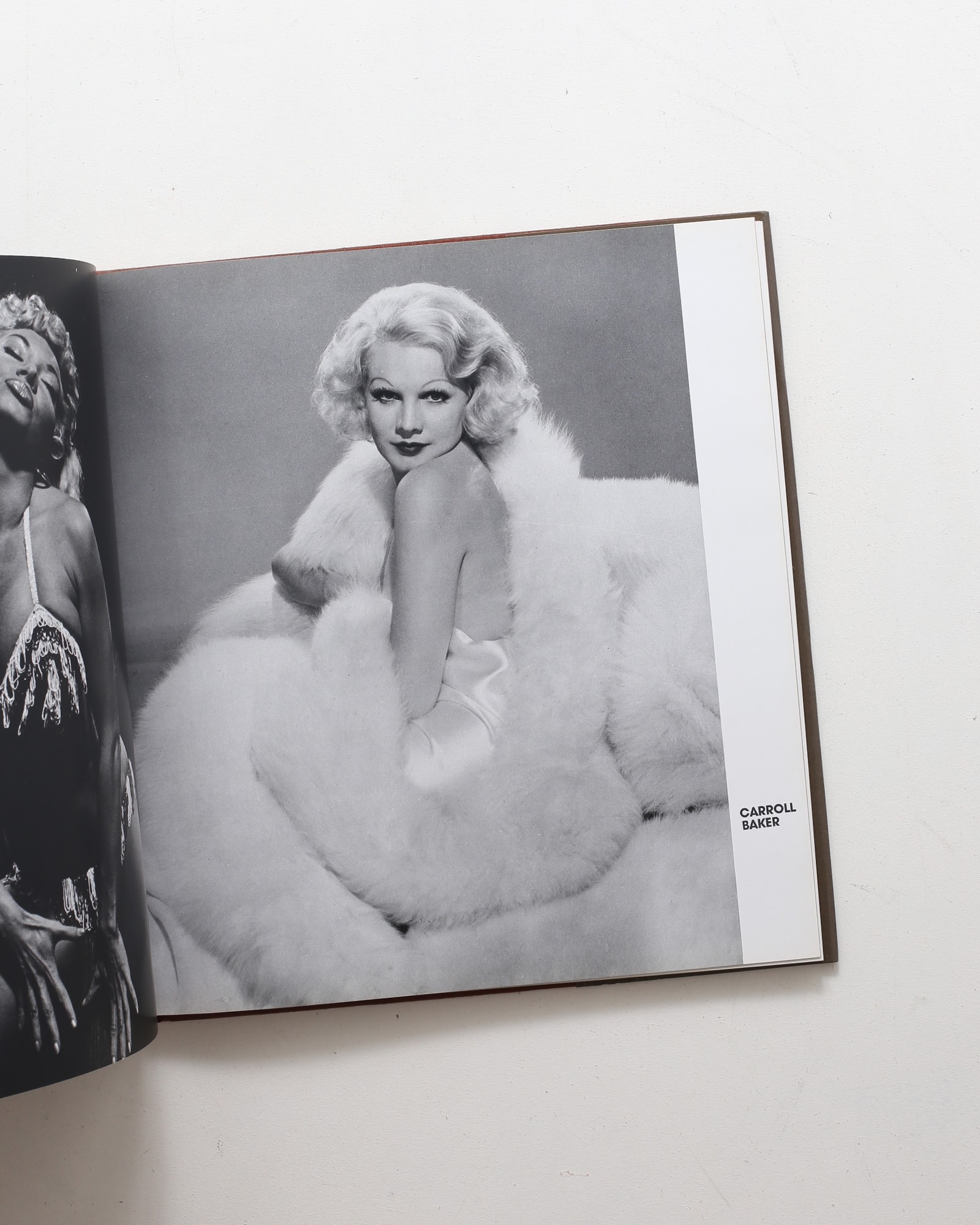 Sight and Insight | Philippe Halsman | nostos books ノストスブックス