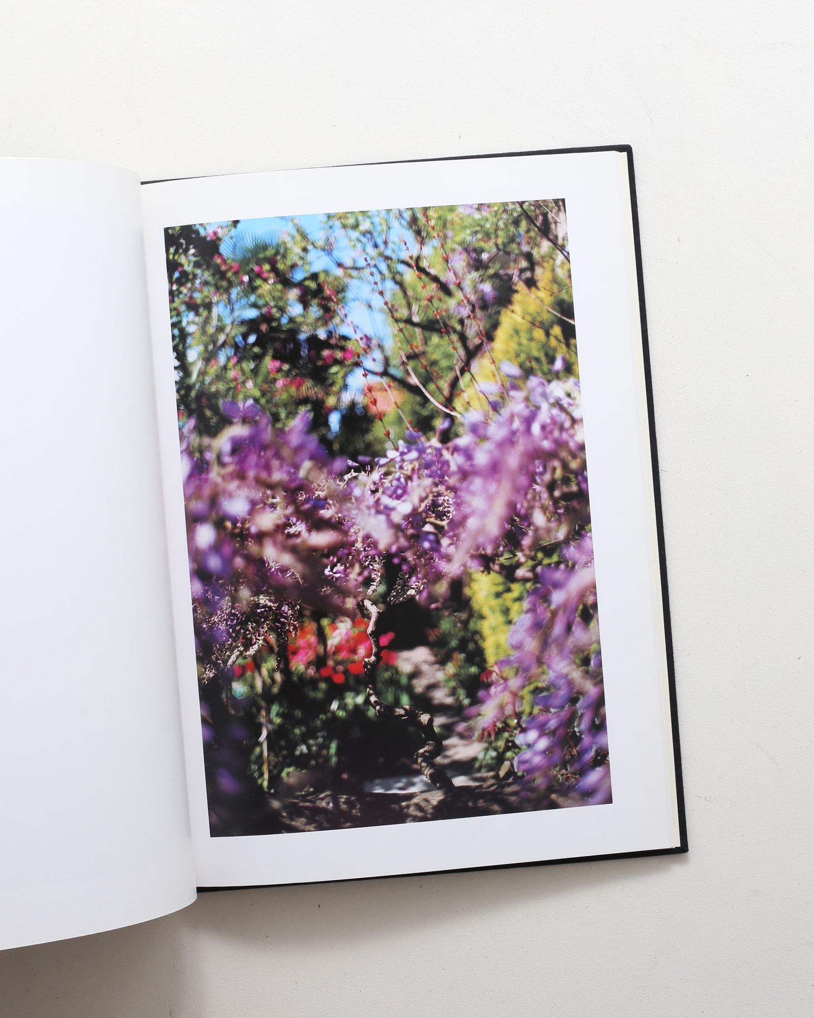 Lana: Photographs Made of a Single Locale | Terri Weifenbach テリ