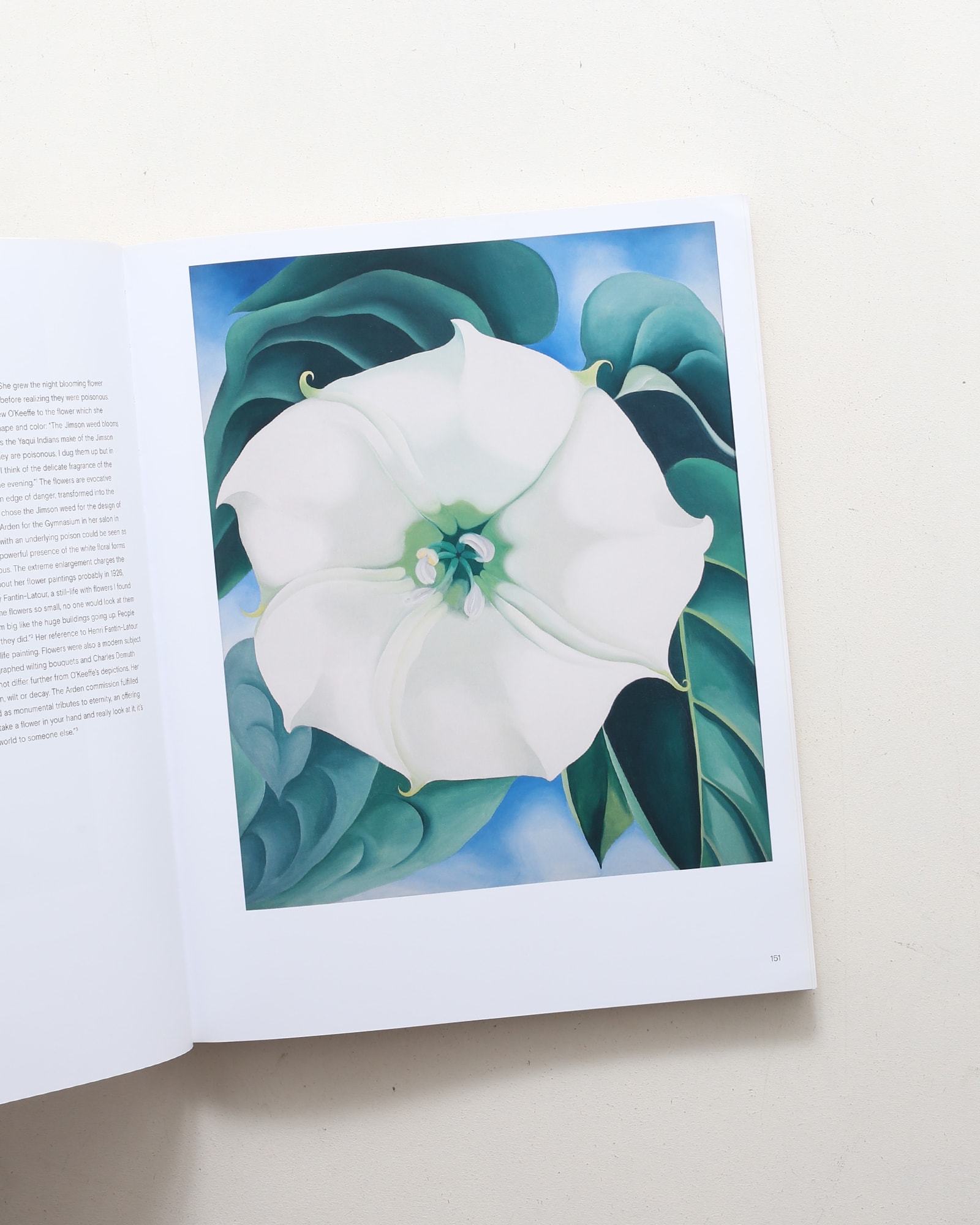 Georgia O'Keeffe | ジョージア・オキーフ | nostos books ノストス