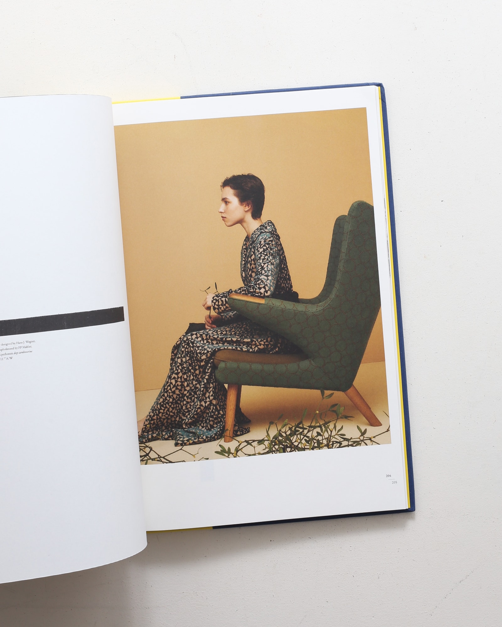 Mina Perhonen: Ripples | Akira Minagawa | nostos books ノストス