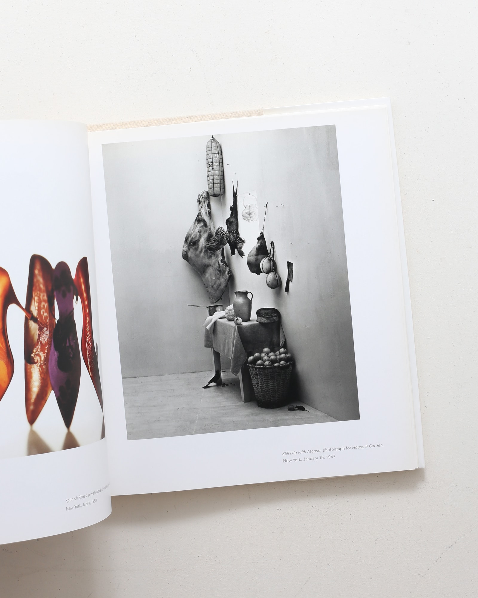 Still Life | Irving Penn | nostos books ノストスブックス