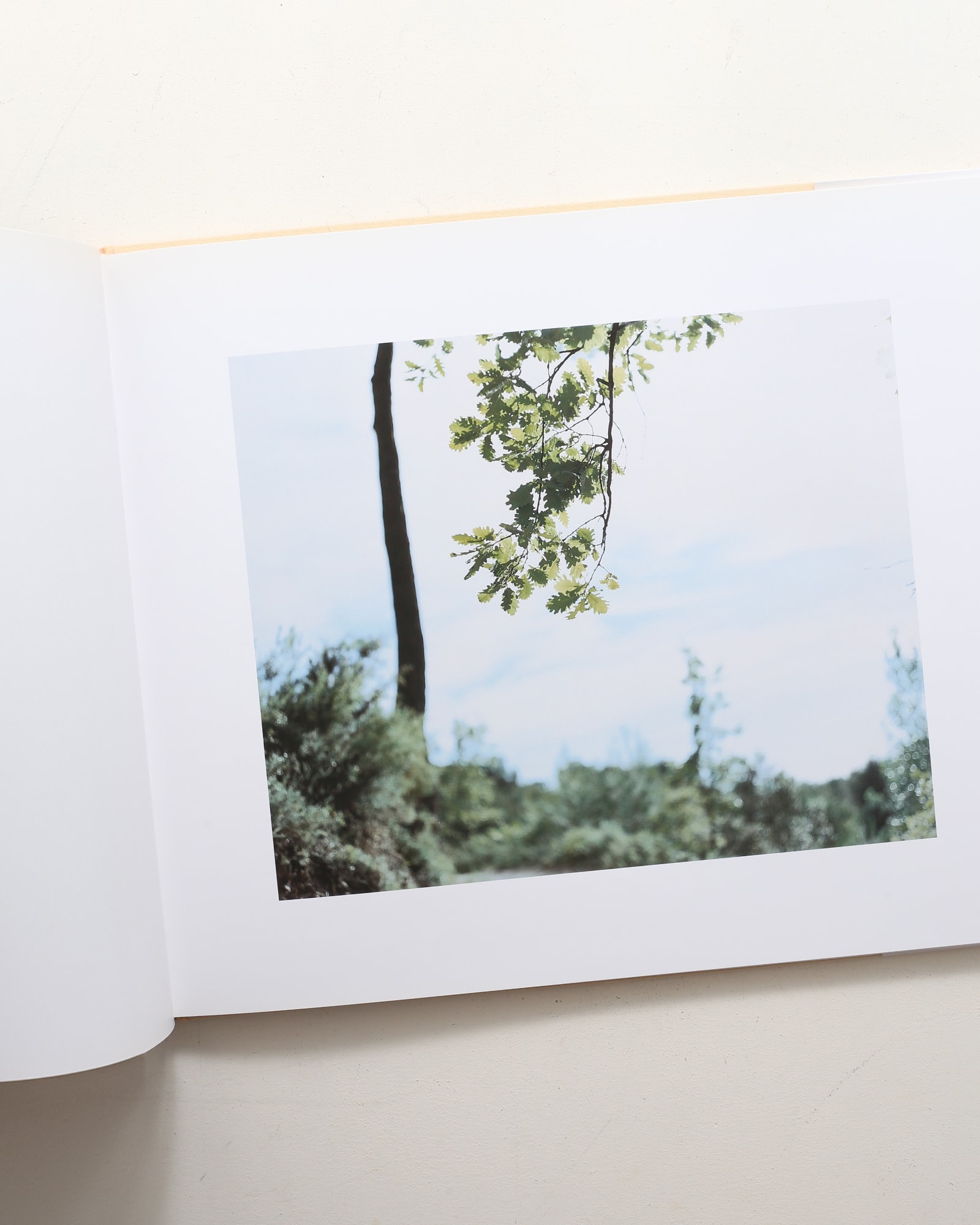 Mont Sainte Victoire | 鈴木理策 | nostos books ノストスブックス