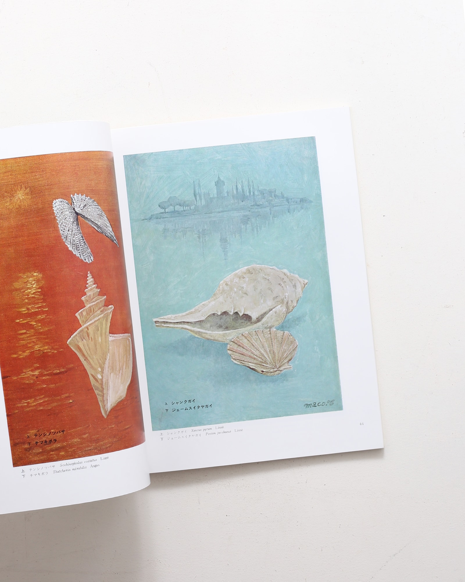 辻まこと全画集 | 串田孫一、宇佐見英治、矢内原伊作 ほか | nostos