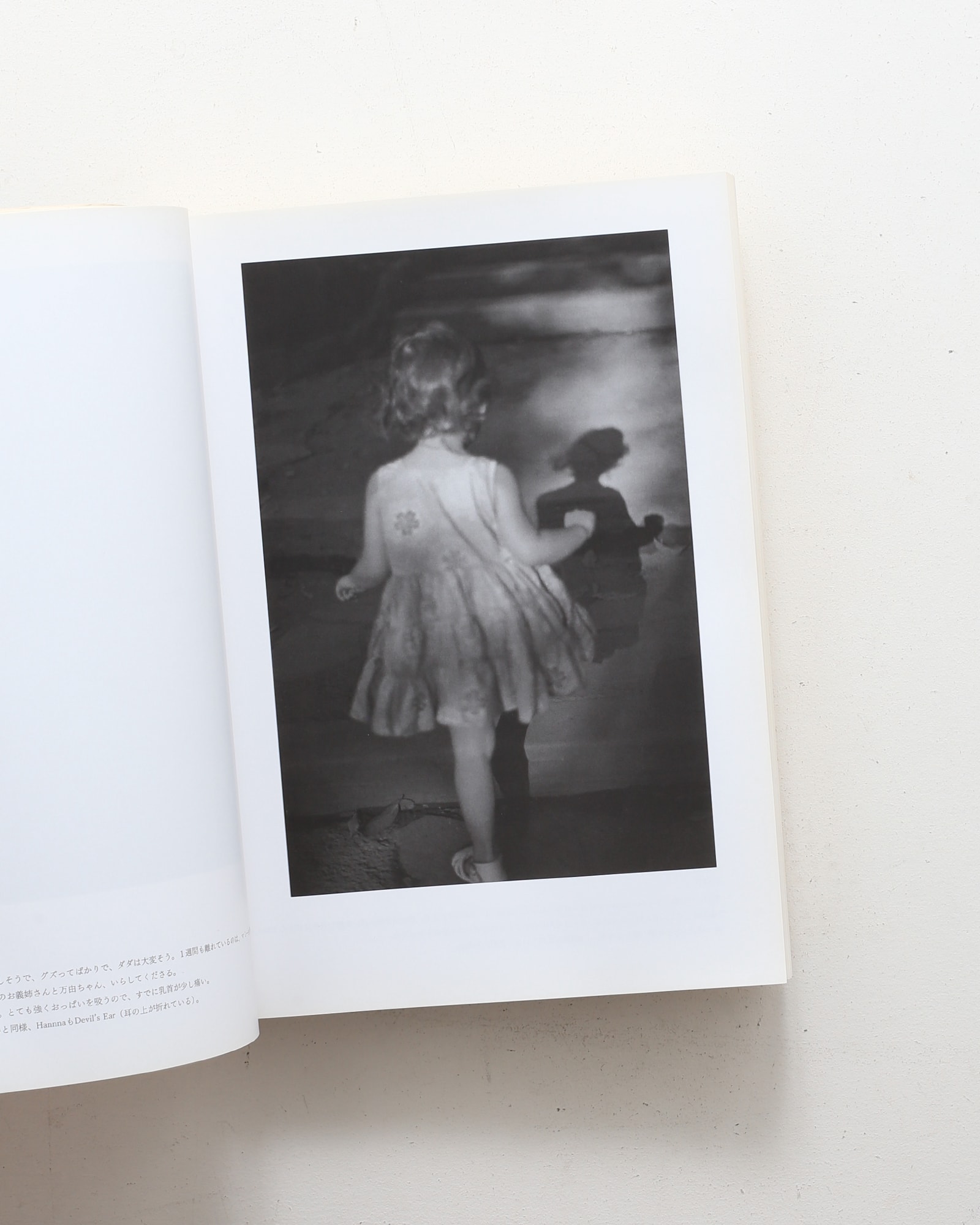 上田義彦写真集 at Home | nostos books ノストスブックス