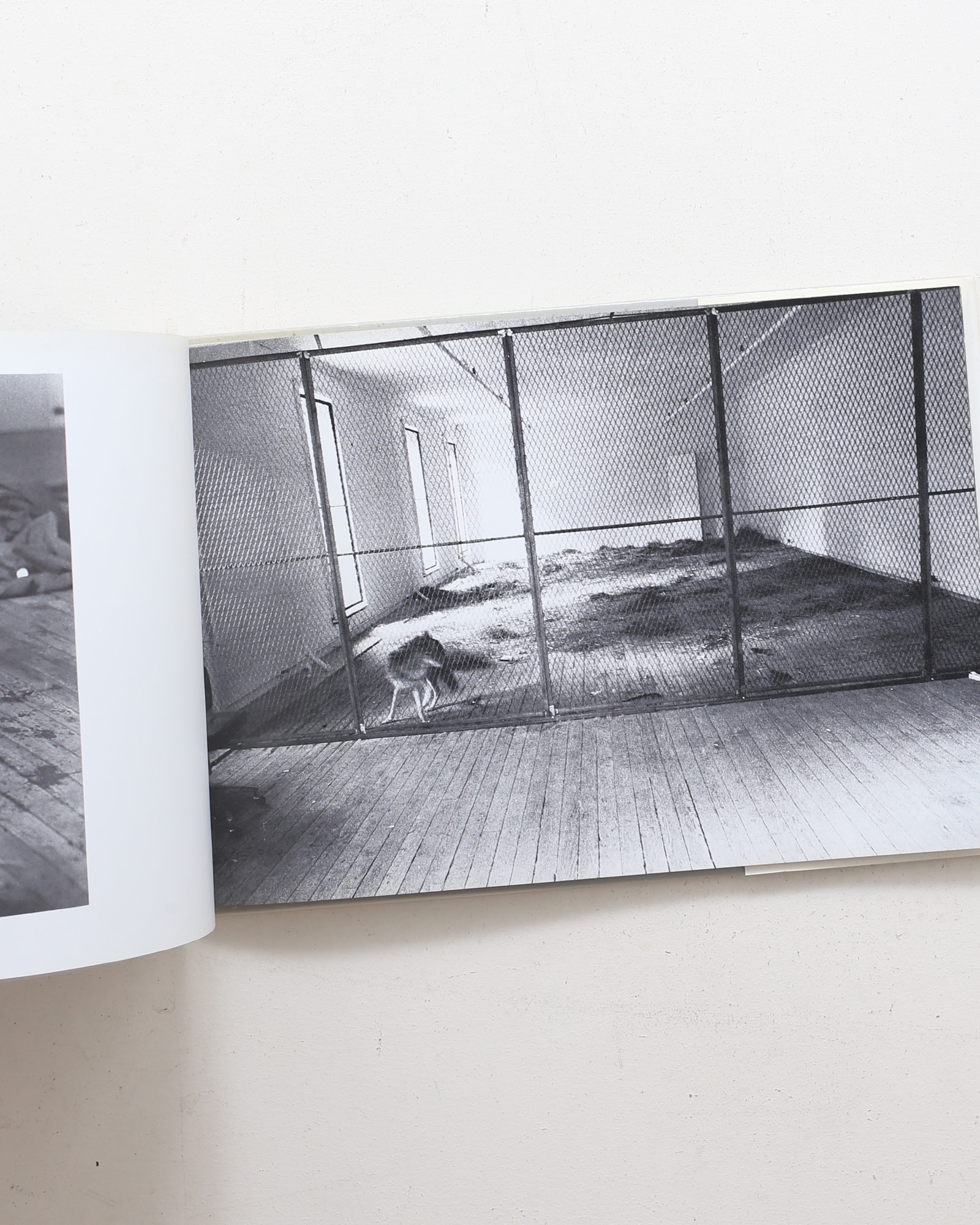 Joseph Beuys: Coyote | ヨーゼフ・ボイス | nostos books ノストス