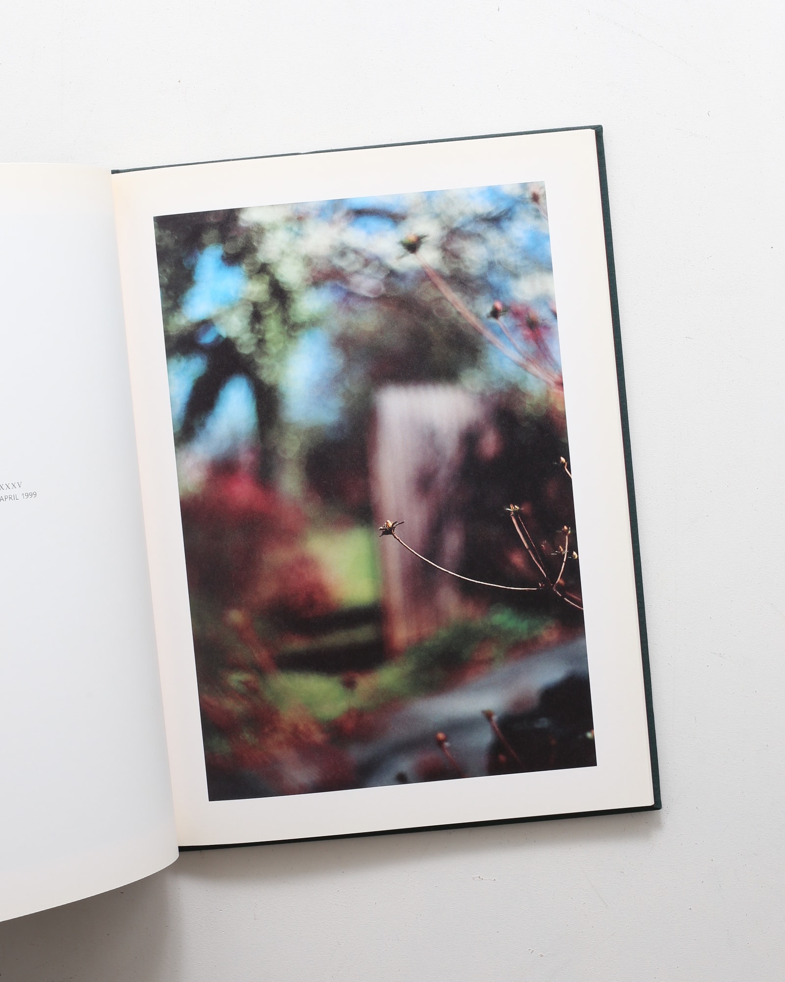 Hunter Green | Terri Weifenbach テリ・ワイフェンバック | nostos