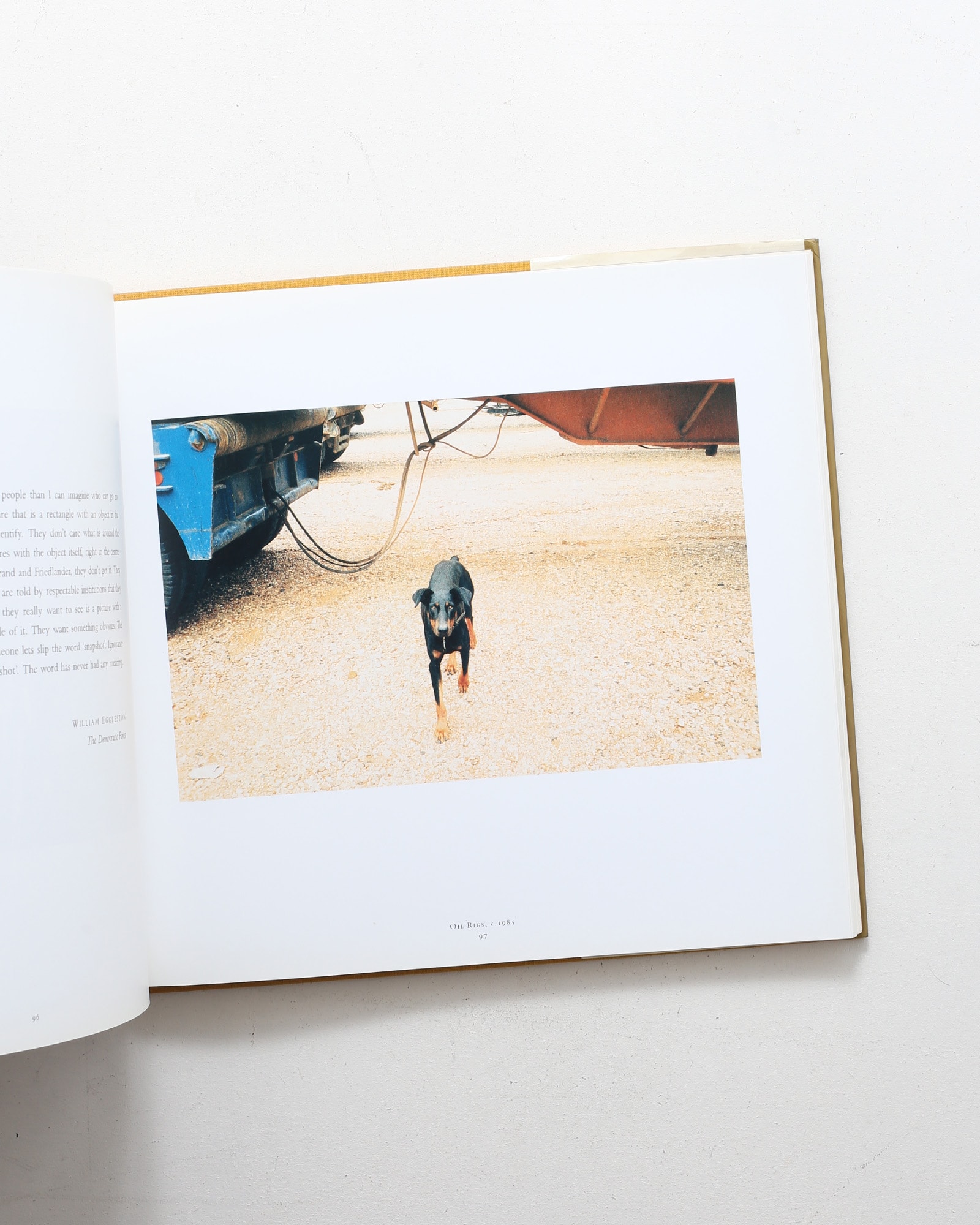 Ancient And Modern | William Eggleston | nostos books ノストスブックス