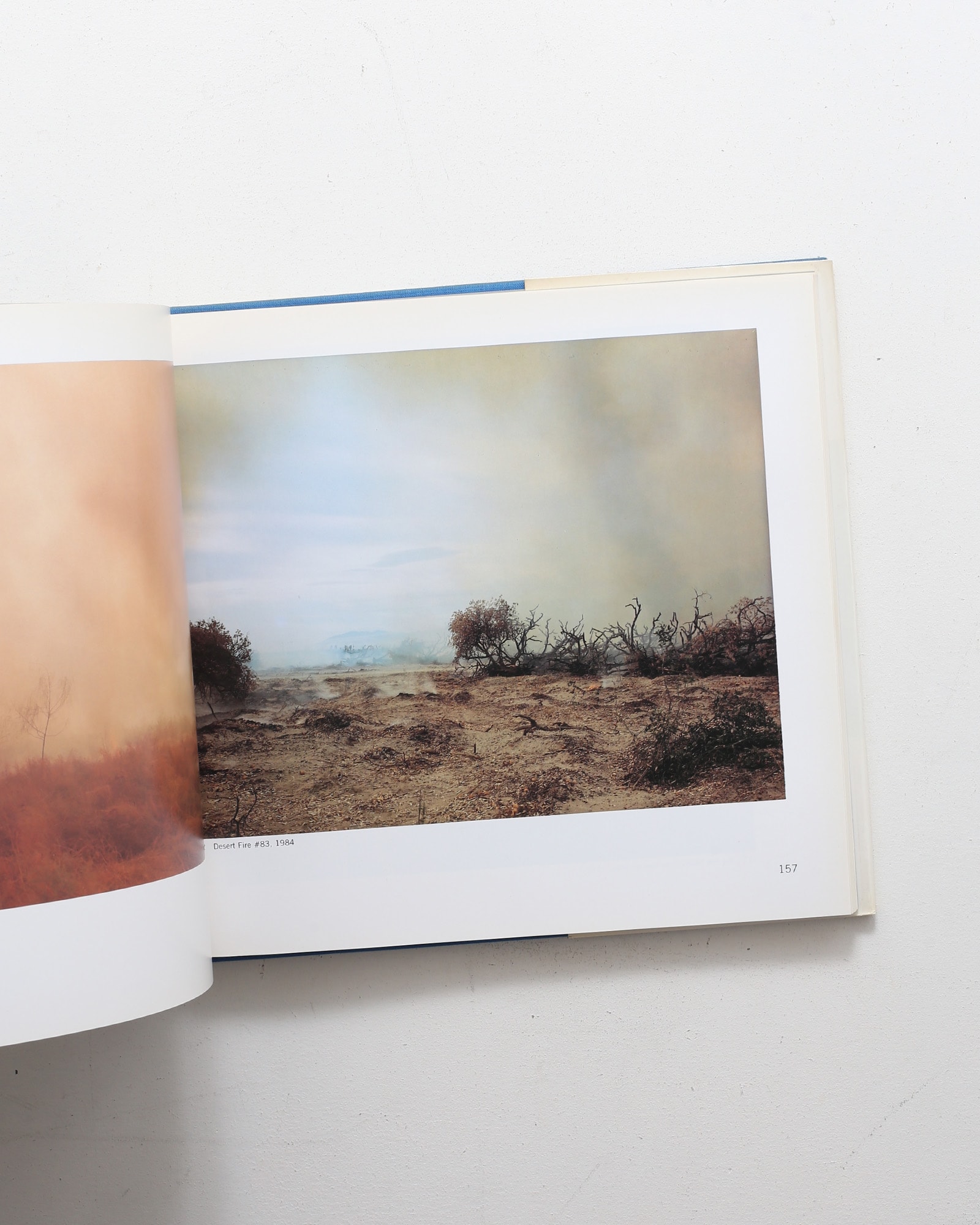 American Independents: Eighteen Color Photographers | Sally