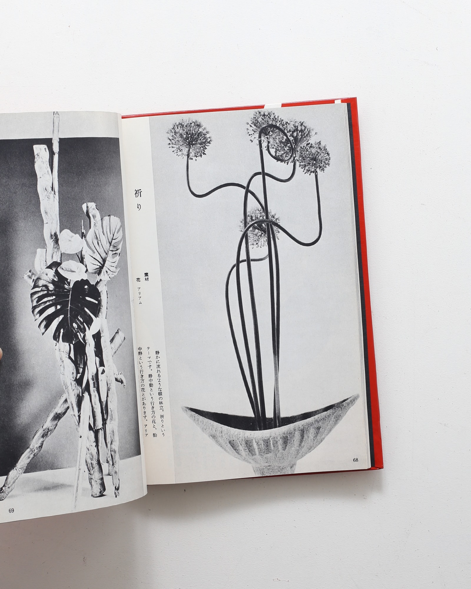 草月の花 | 勅使河原蒼風 | nostos books ノストスブックス