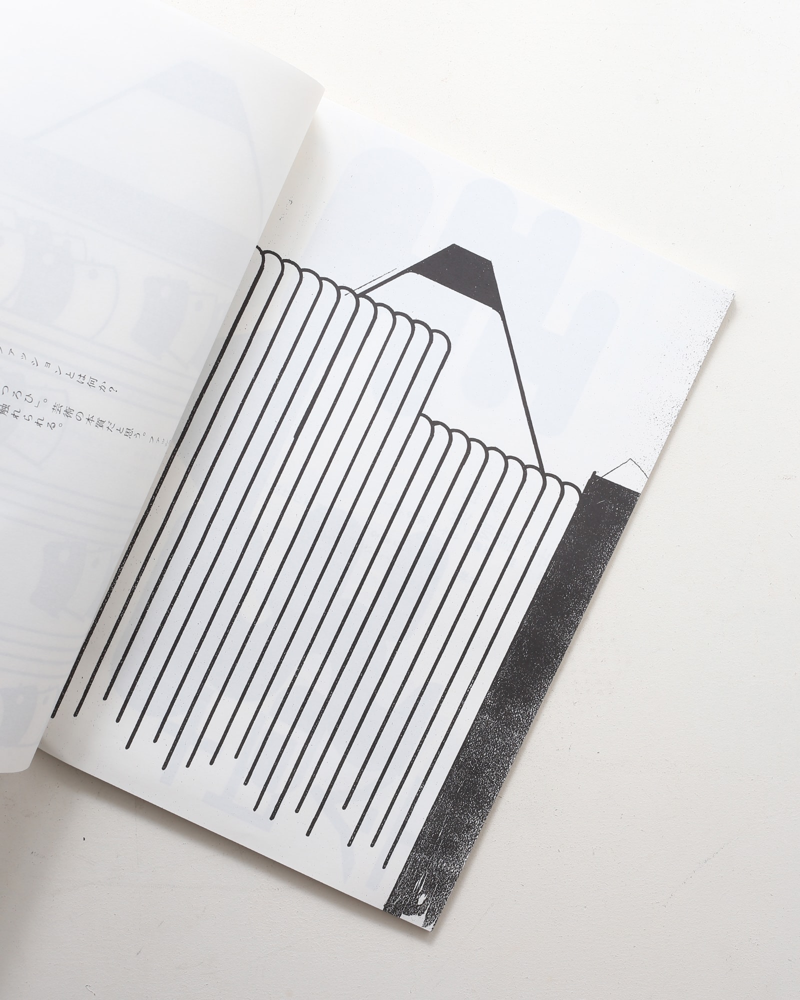 仲條のフジのヤマイ | 仲條正義 | nostos books ノストスブックス