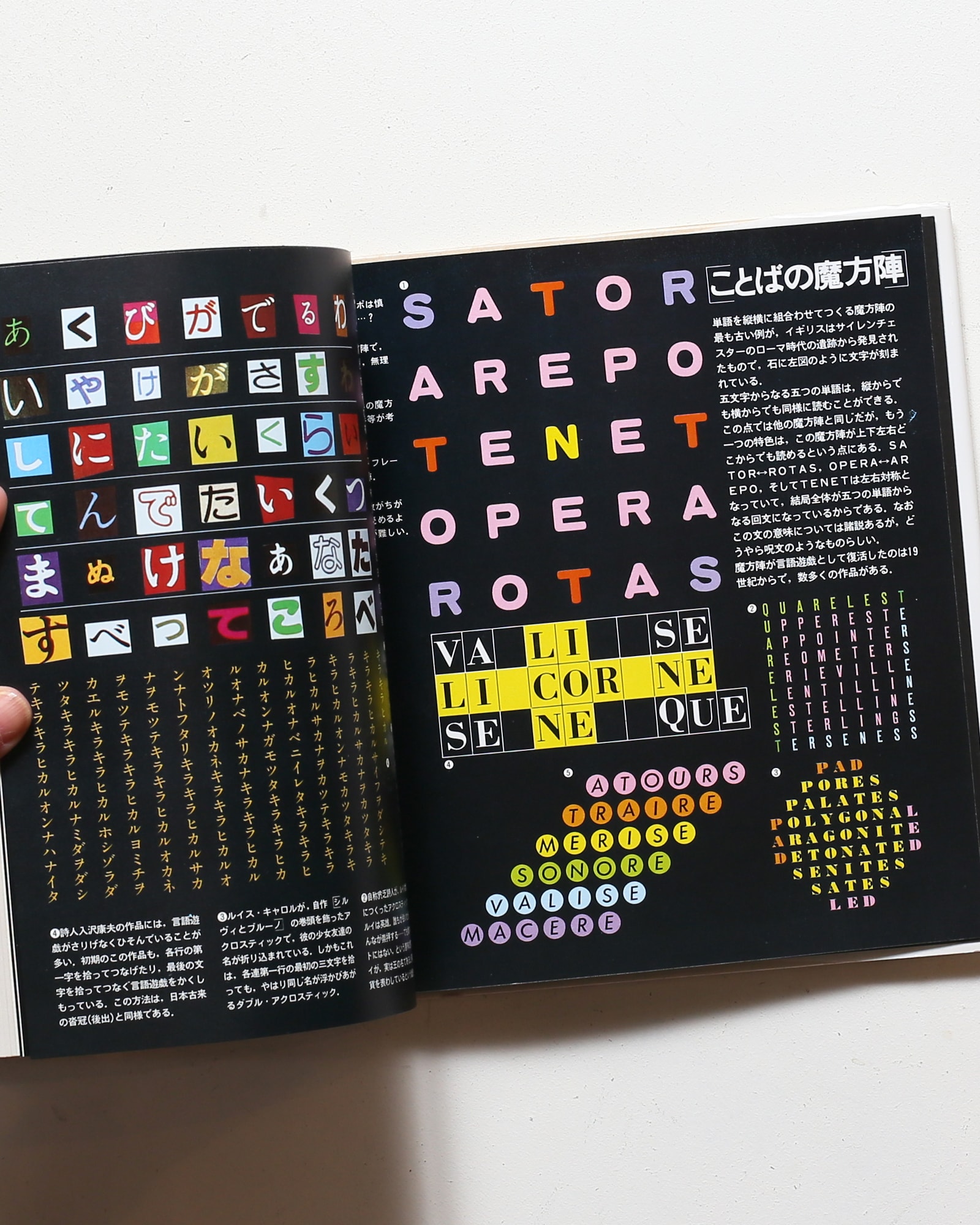 遊びの百科全書 全10巻揃 | nostos books ノストスブックス