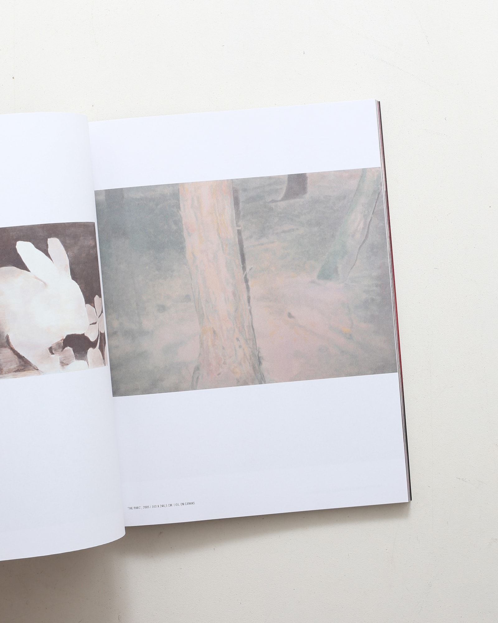 A Magazine ＃6 Curated by Veronique Branquinhoo | nostos books