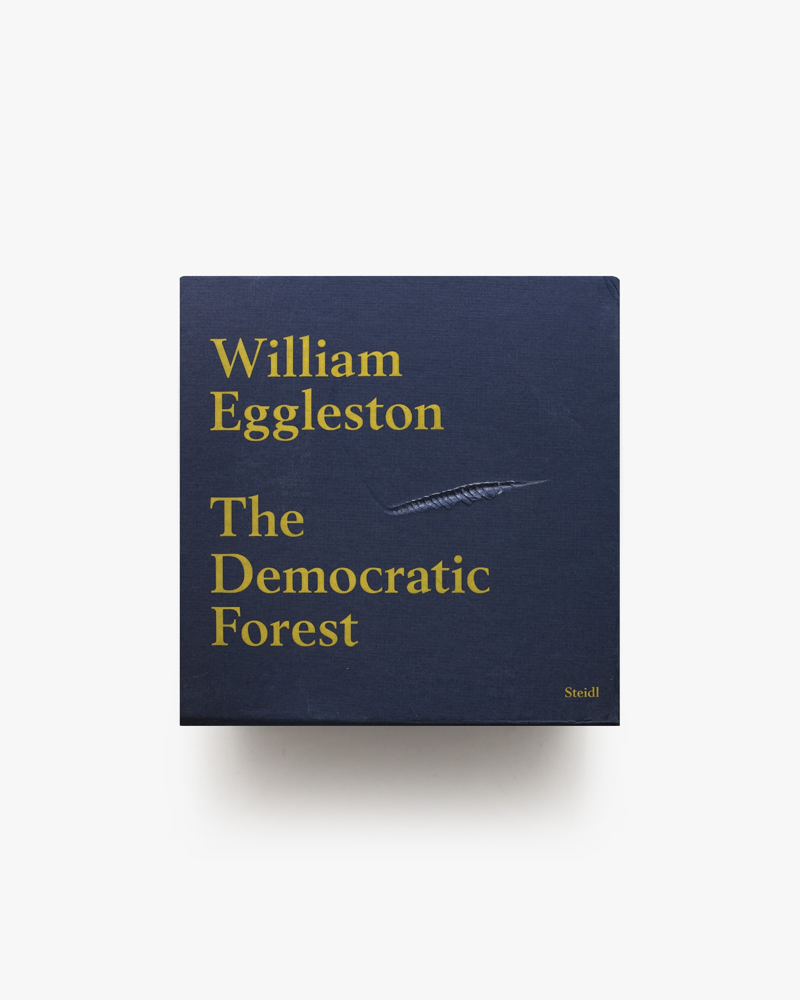The Democratic Forest | William Eggleston ウィリアム・エグルストン
