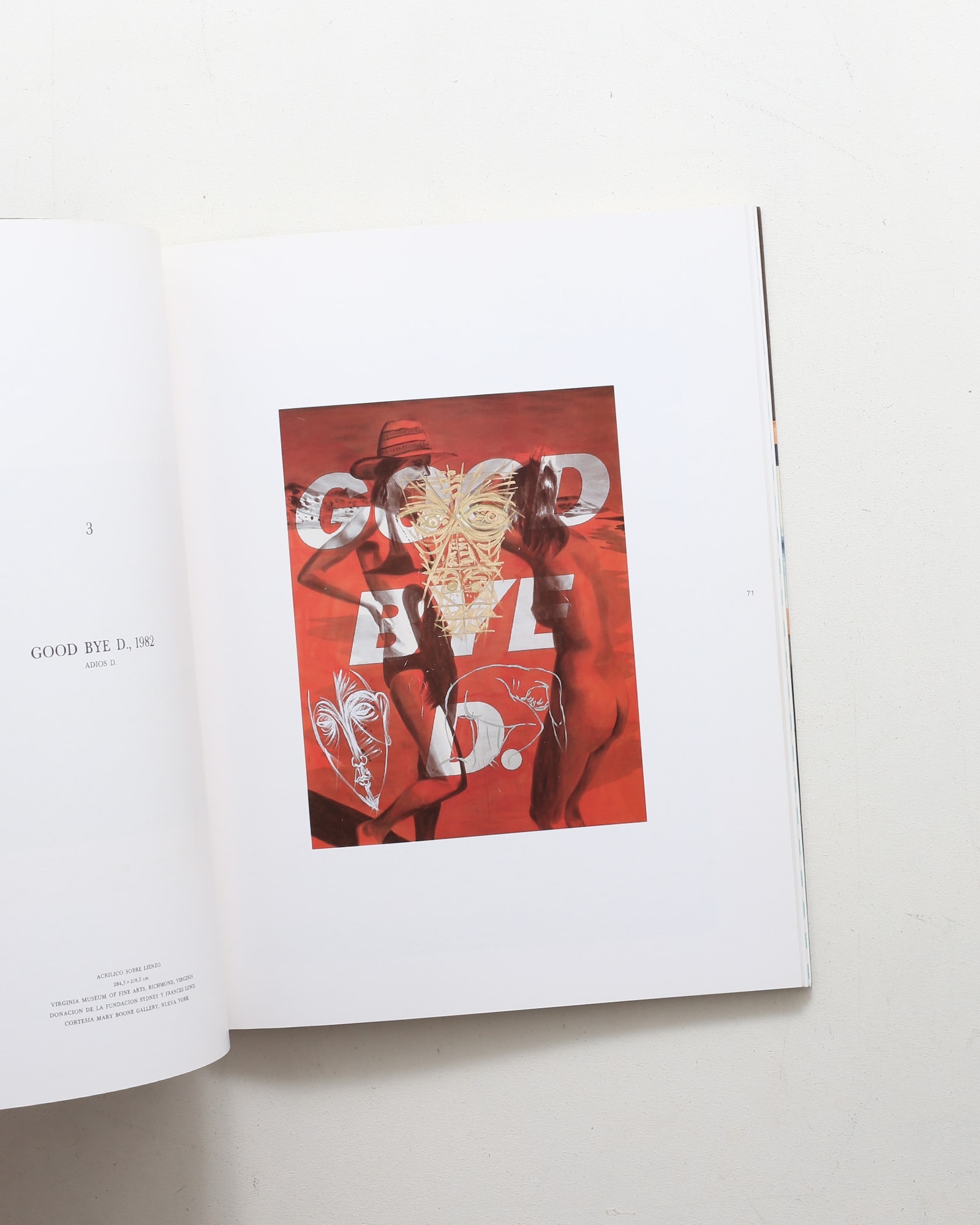 David Salle | デヴィッド・サーレ | nostos books ノストスブックス