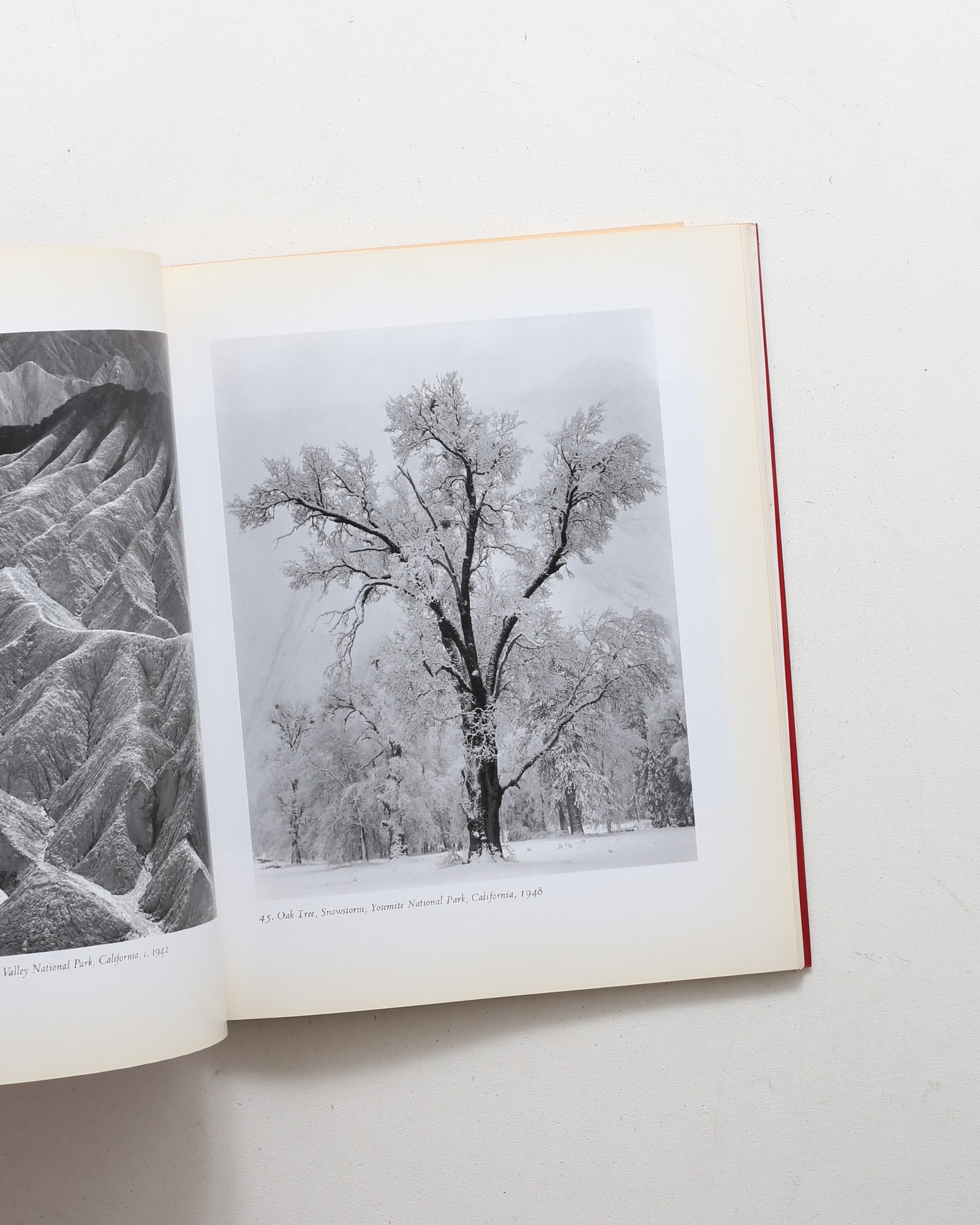 アンセル・アダムス作品集 クラシック・イメージ | nostos books