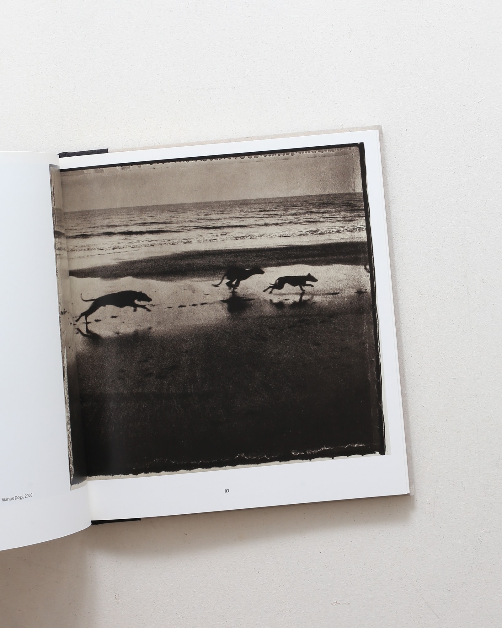 Sarah Moon: Now and Then | nostos books ノストスブックス