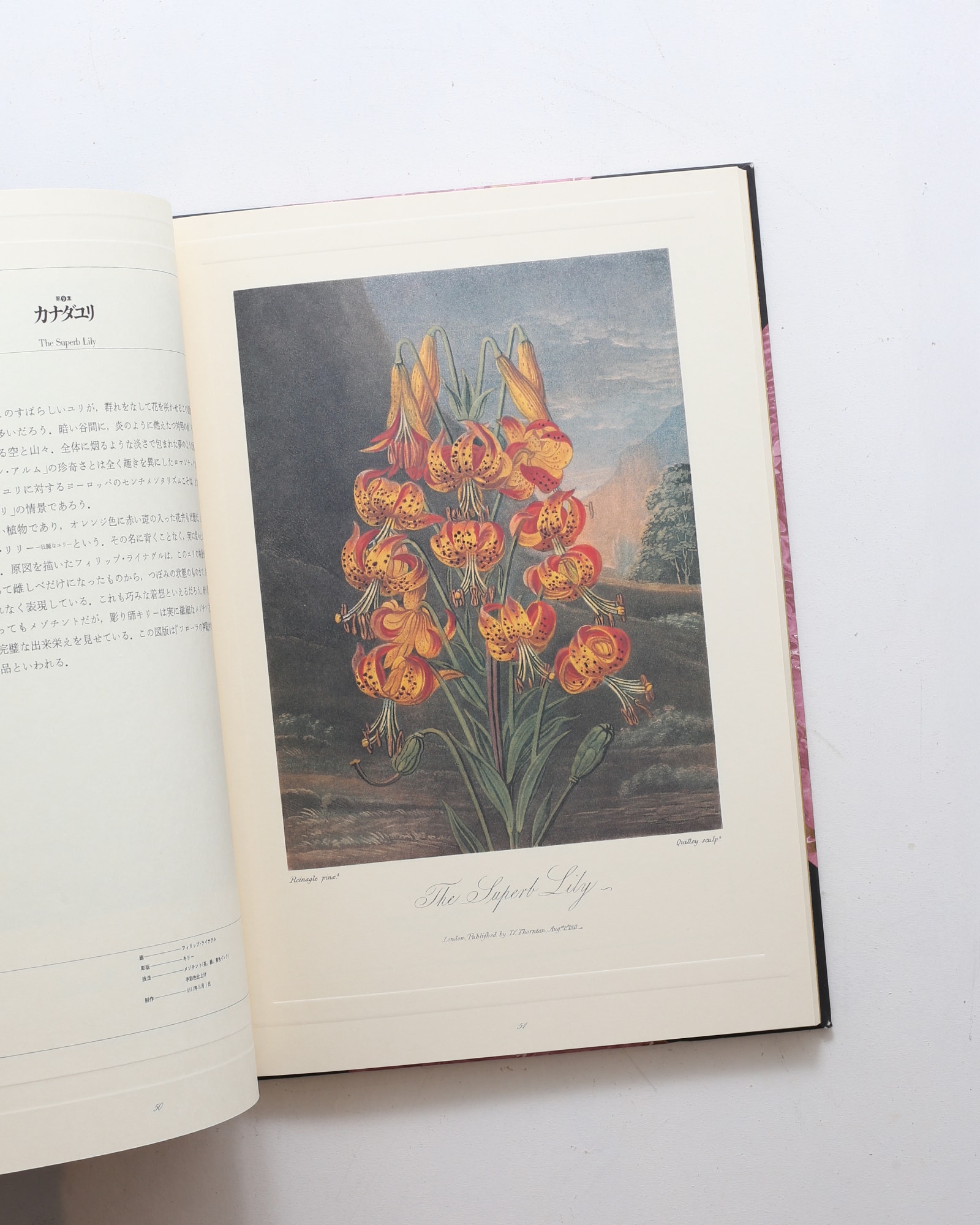 フローラの神殿 | ロバート・ジョン・ソーントン、荒俣宏 | nostos