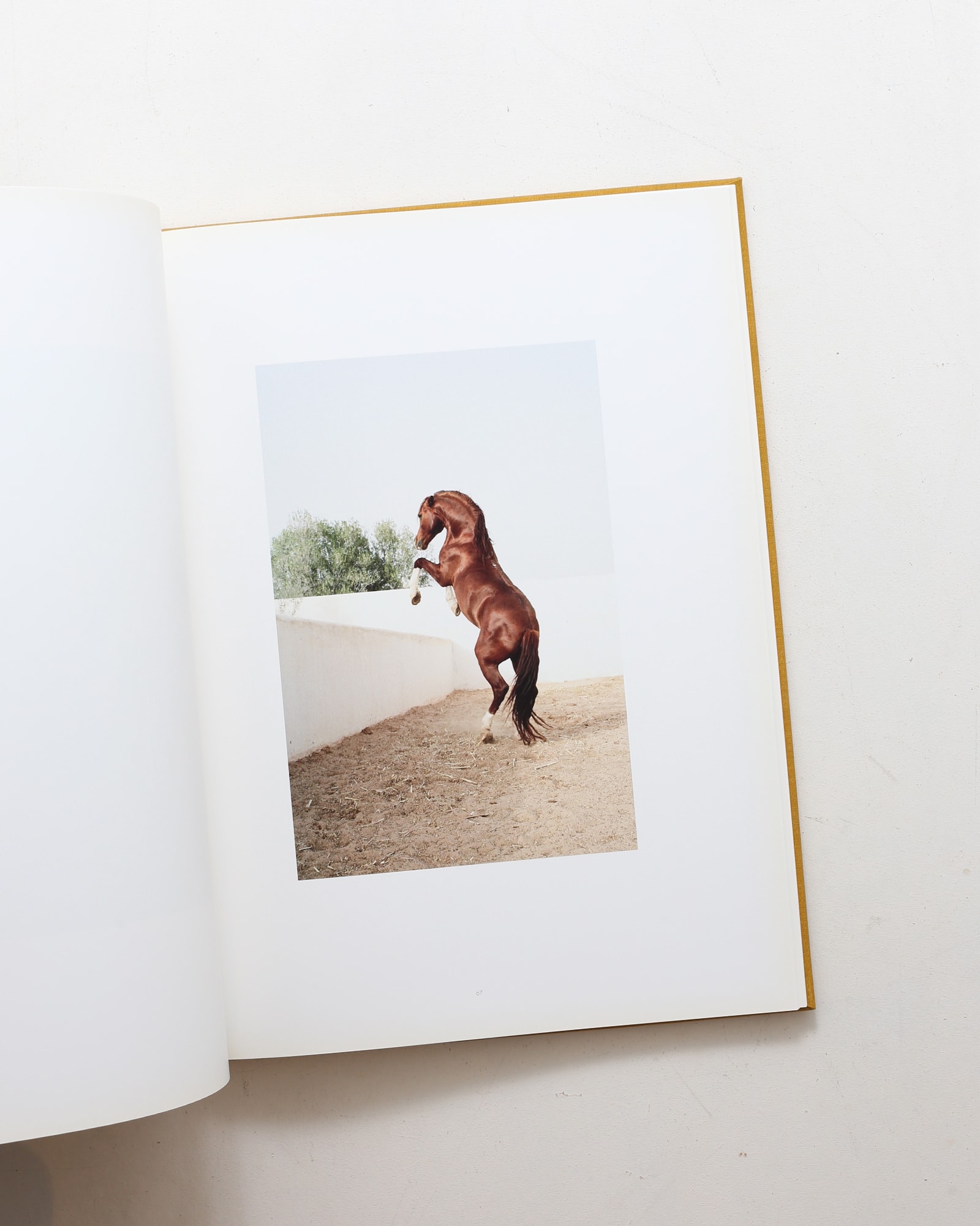 Horse | Jitka Hanzlova | nostos books ノストスブックス