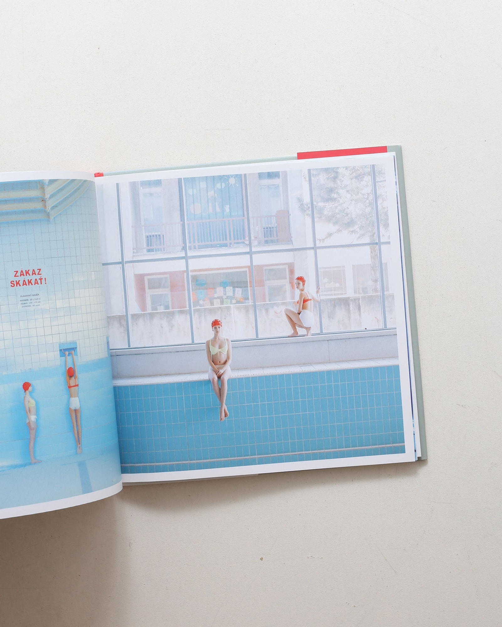 Swimming Pool | マーリア・シュヴァルボヴァー | nostos books ノスト